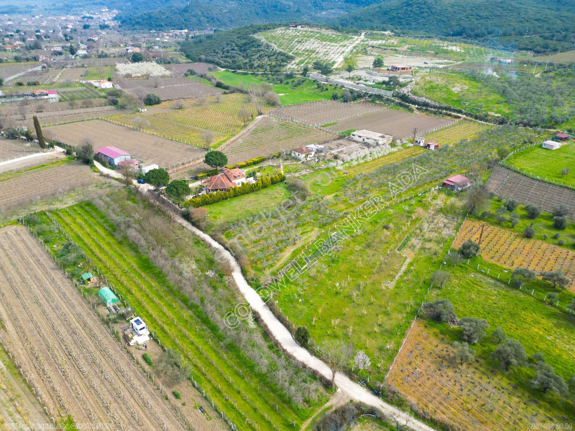 Kuşadası Kirazlıda Satılık Tarla | 3887 M² | İçinde 45 M² Yapı - Görsel 19