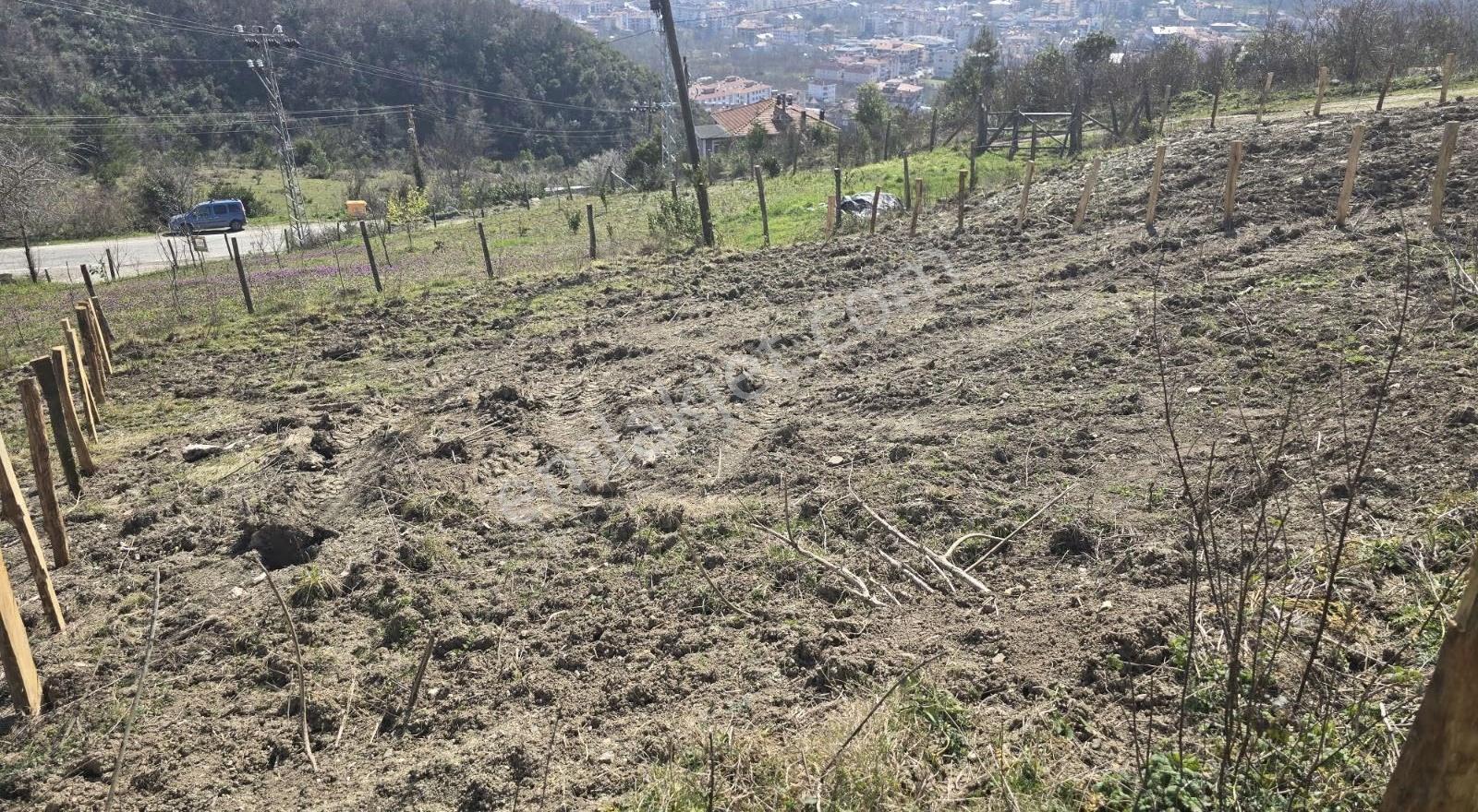 Cide İlkim Emlak'tan Konut İmarlı Satılık Arsa - Görsel 7