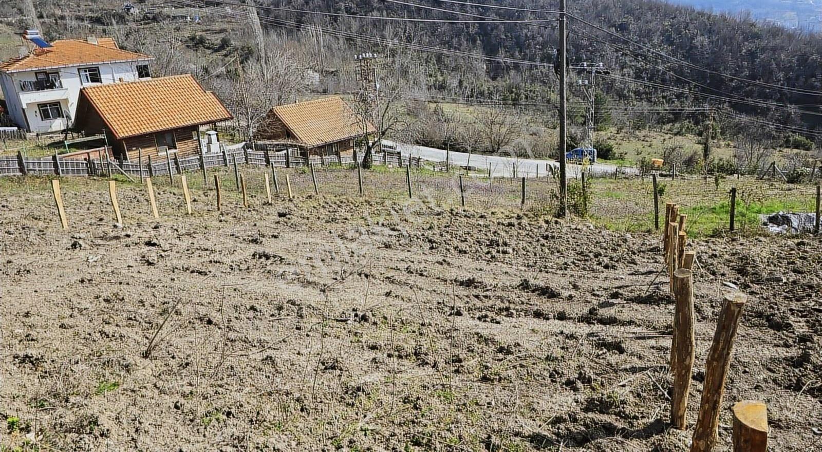 Cide İlkim Emlak'tan Konut İmarlı Satılık Arsa - Görsel 6