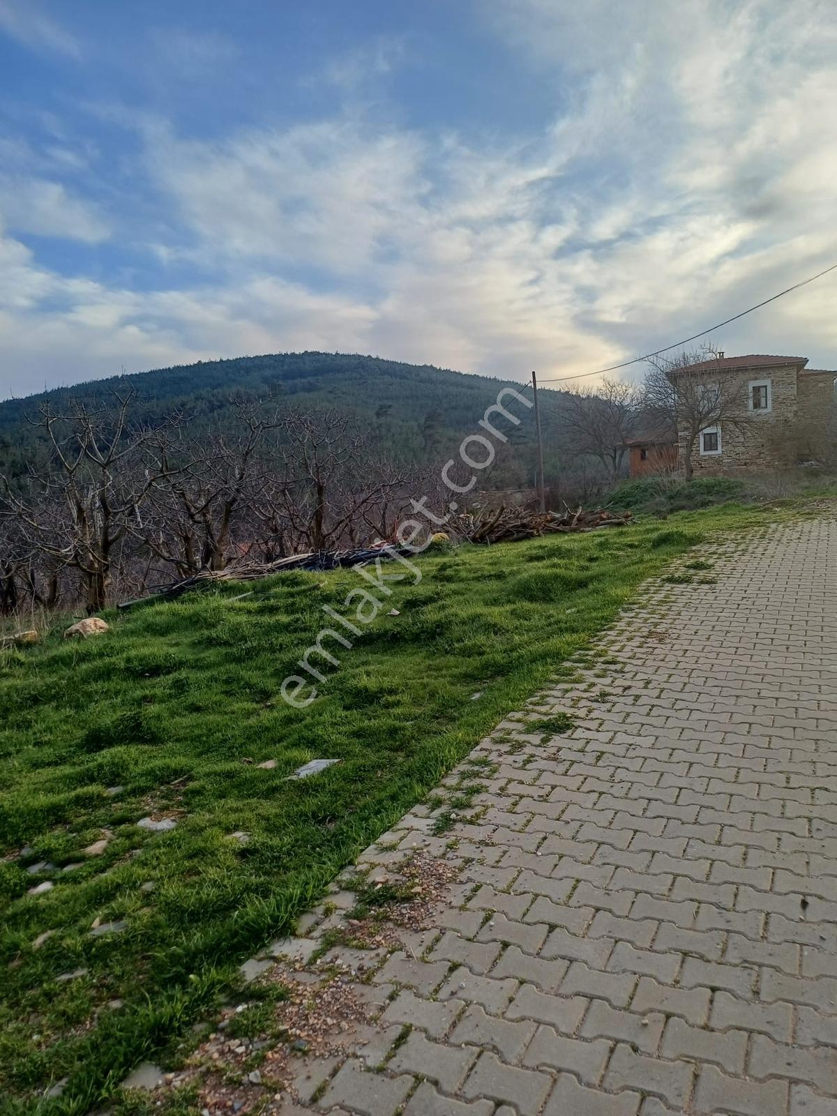 İzmir Bayındırda Dernekli Mah.üç Cepheli Arsa - Görsel 5