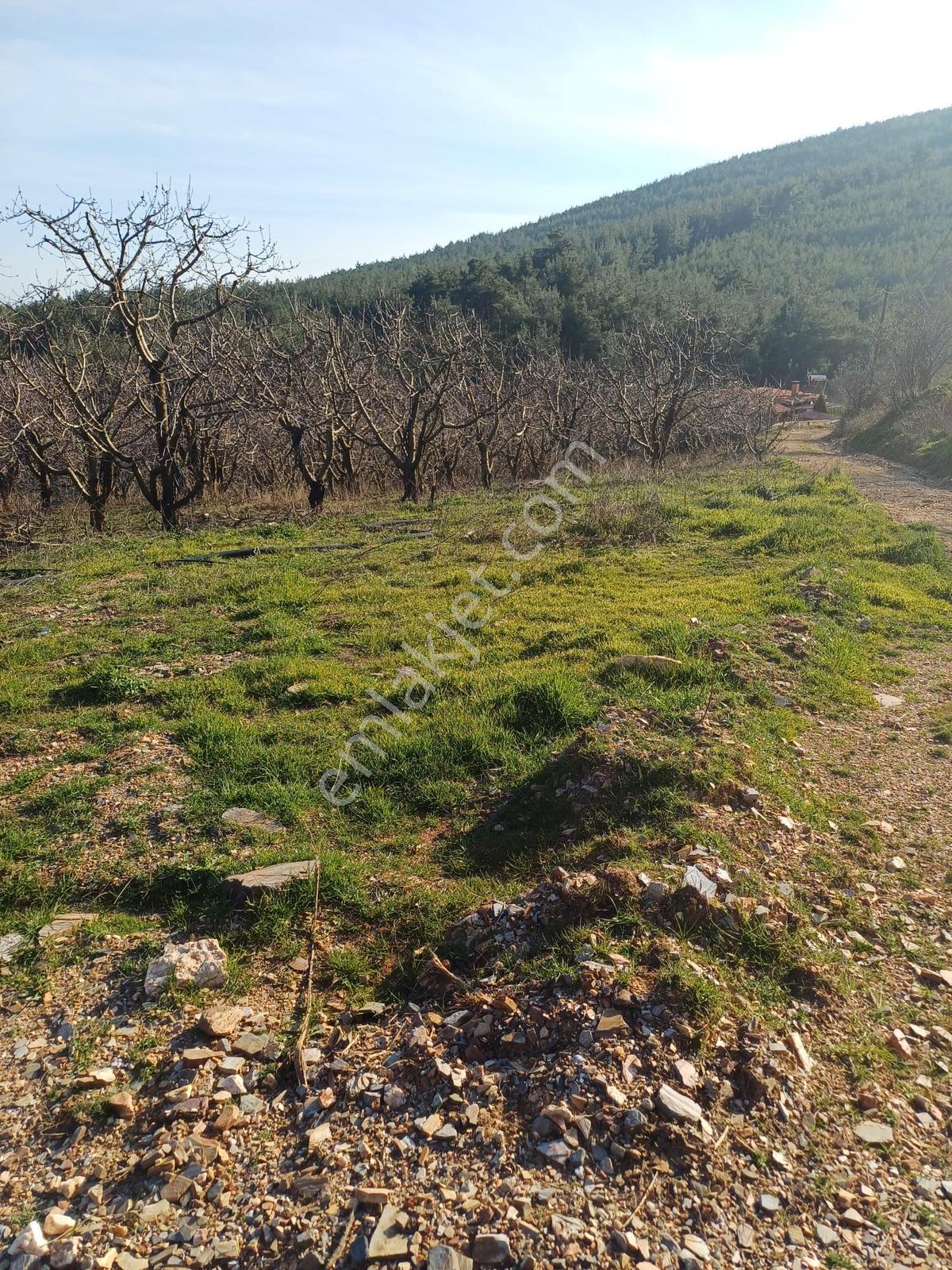 İzmir Bayındırda Dernekli Mah.üç Cepheli Arsa - Görsel 10