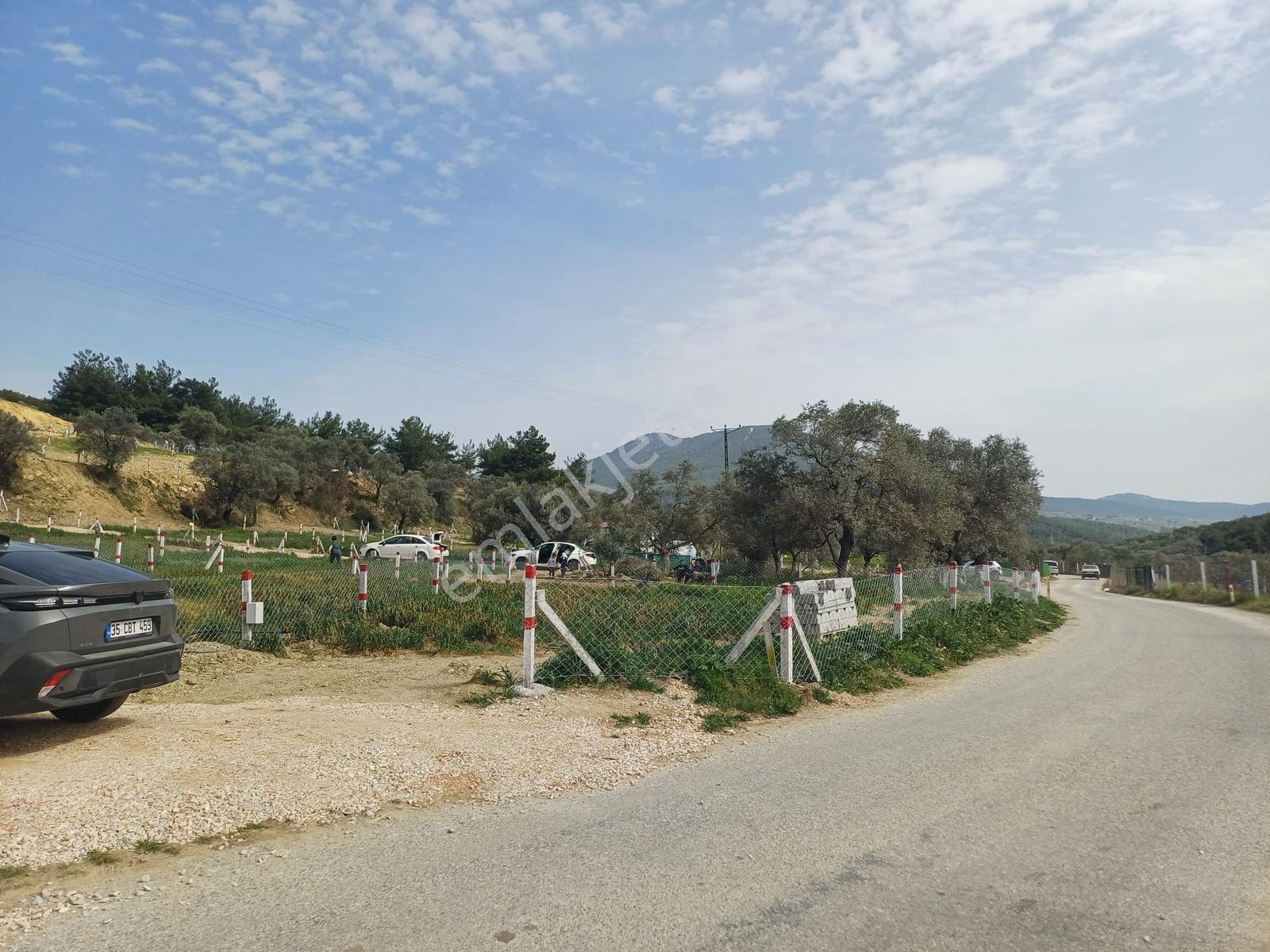 İzmir Kemalpaşa Vişnelide Satılık Tarla Caddeye Sıfır - Görsel 7