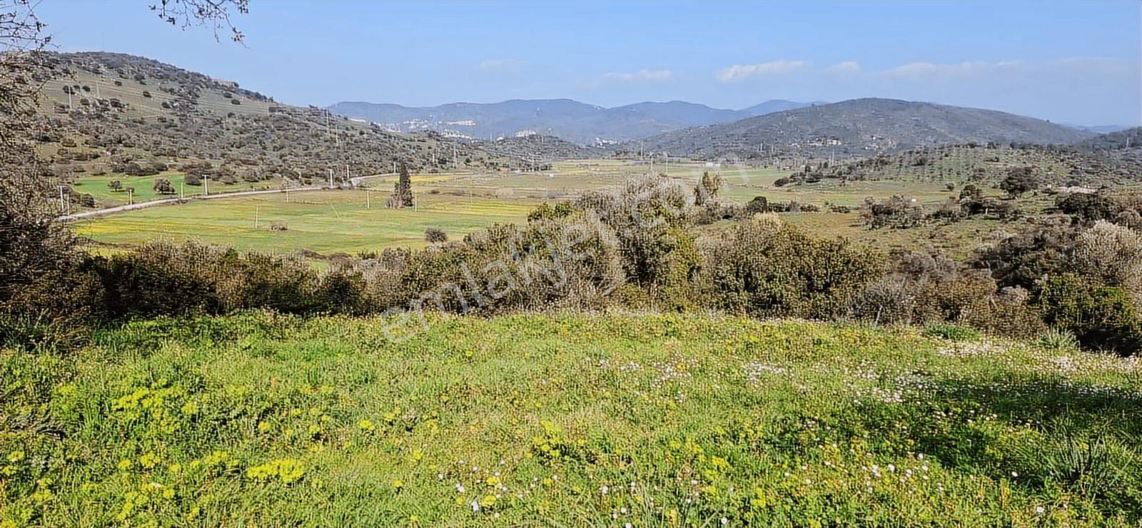 Bodrum Kızılağaç'ta Yatırım Fırsatı!! Satılık Tarla