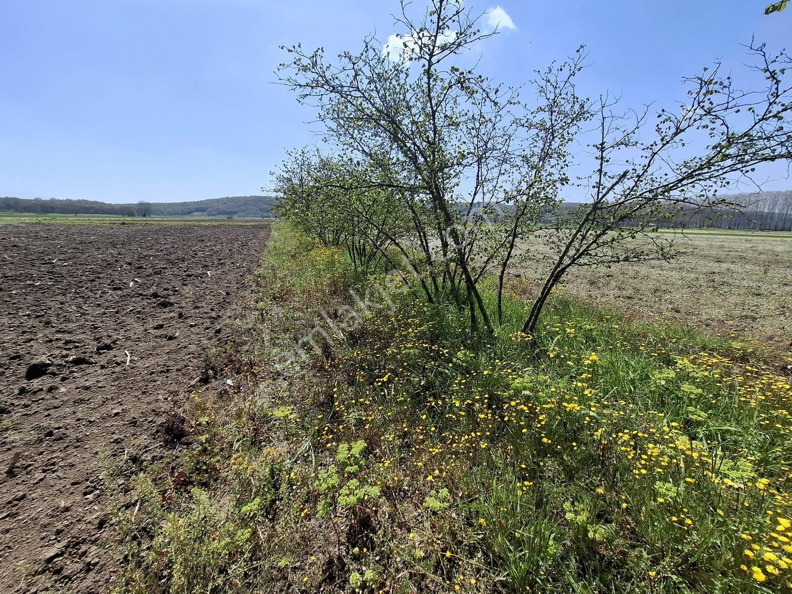 Kurudilde Tarıma Elverişli 10.978 M2 Satılık Tarla - Görsel 11