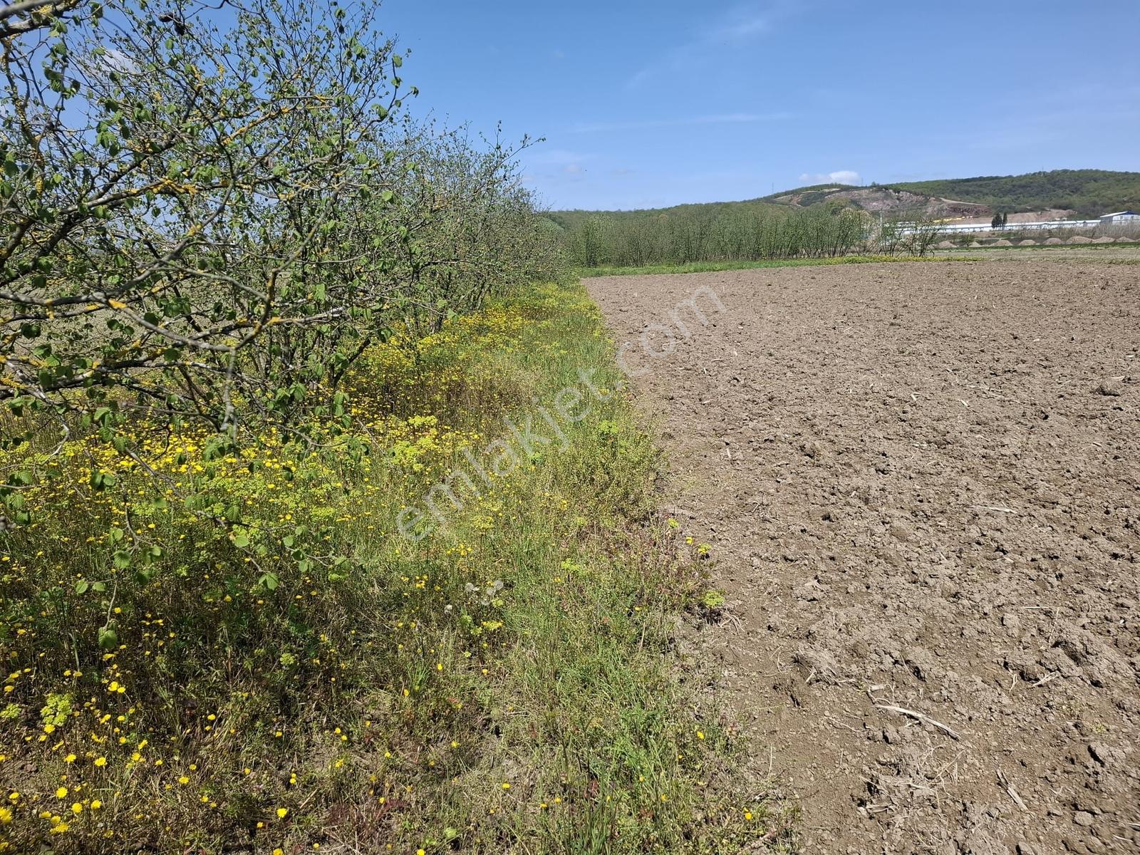Kurudilde Tarıma Elverişli 10.978 M2 Satılık Tarla - Görsel 2