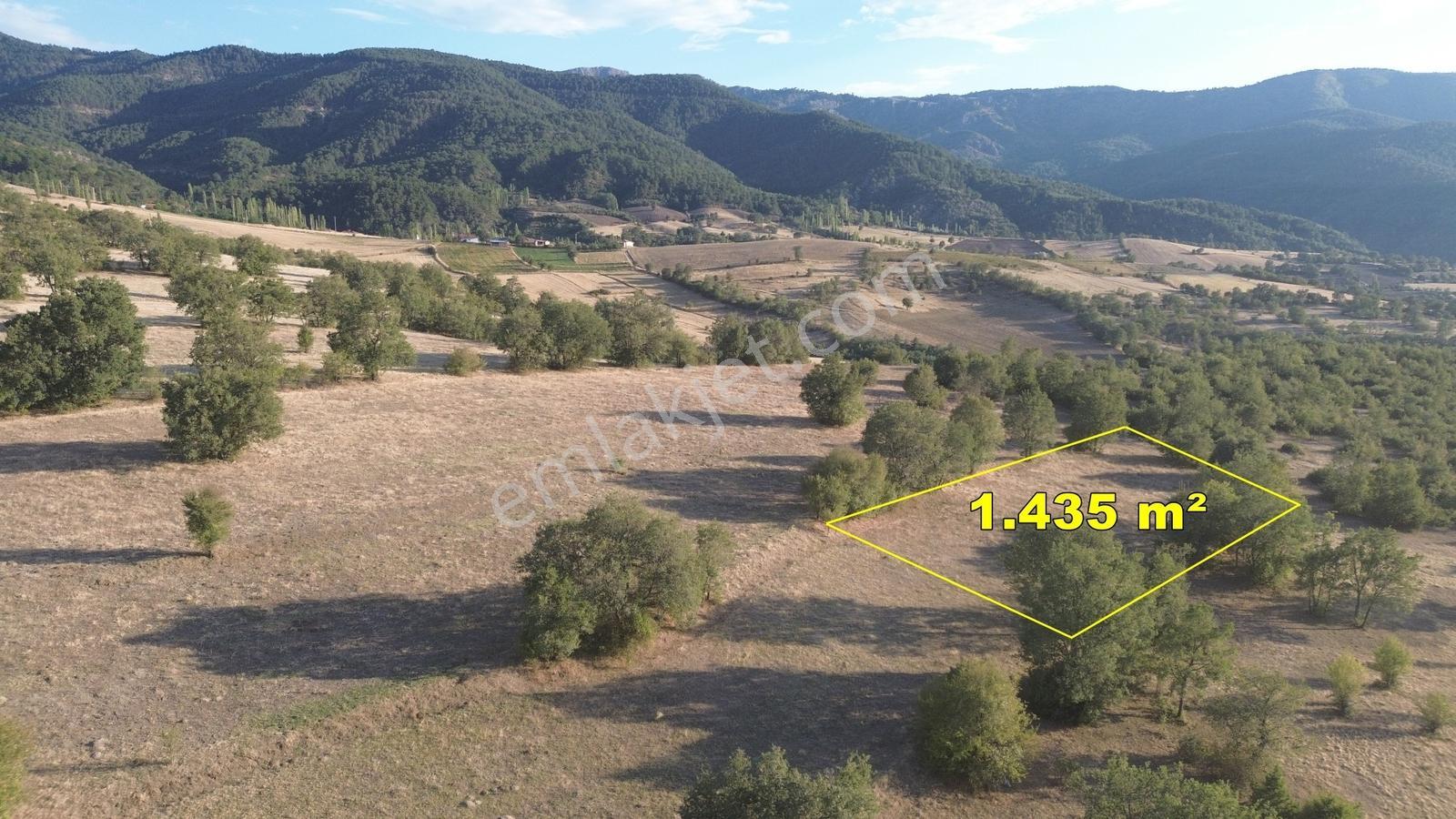 Amasya / Hamamözü / Damladere De 1.435 M² Müstakil Tarla - Görsel 2