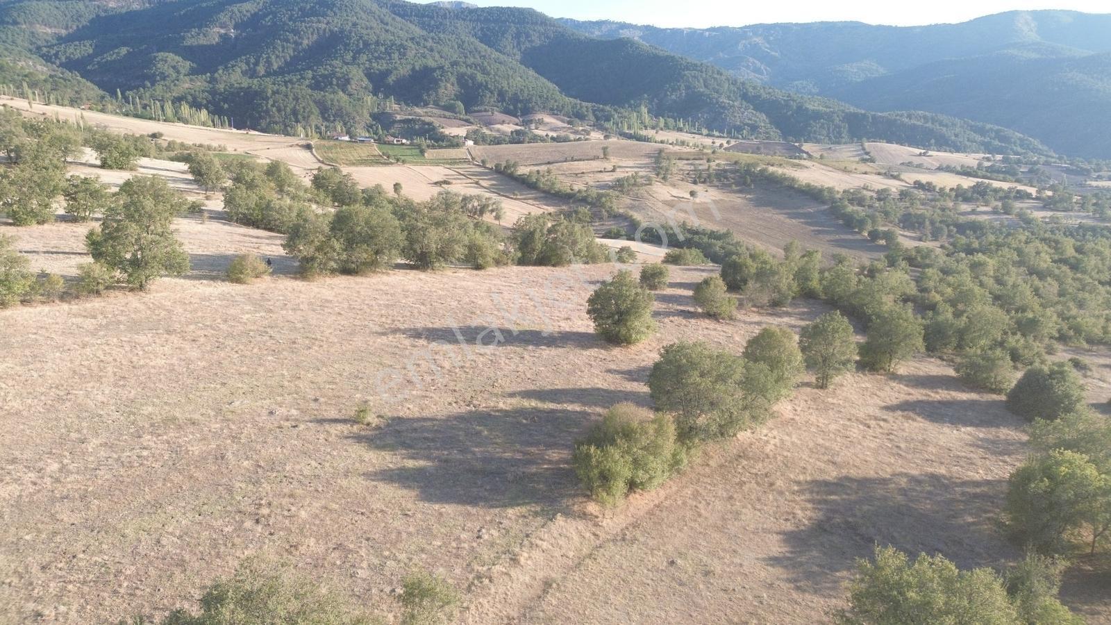 Amasya / Hamamözü / Damladere De 1.435 M² Müstakil Tarla - Görsel 10