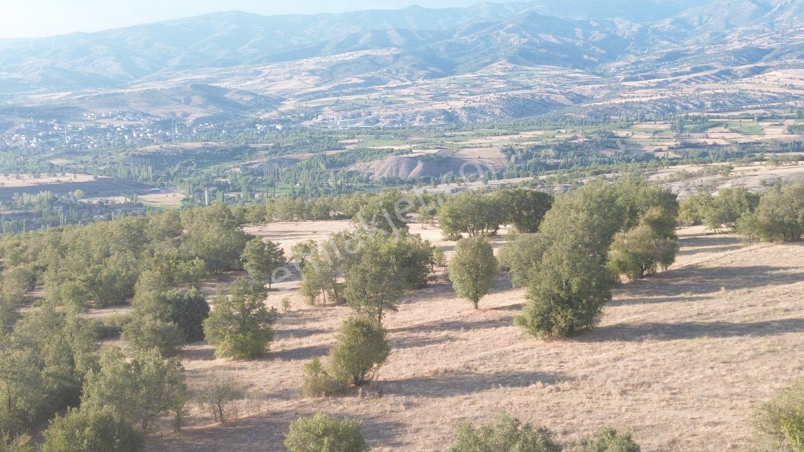 Amasya / Hamamözü / Damladere De 1.435 M² Müstakil Tarla - Görsel 7