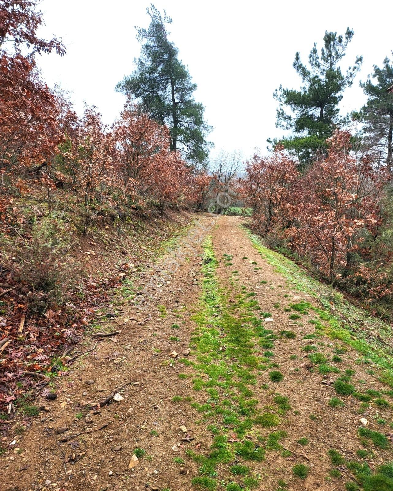 Çanakkale Çan Dondurma Köyü Satılık Arazi - Görsel 5