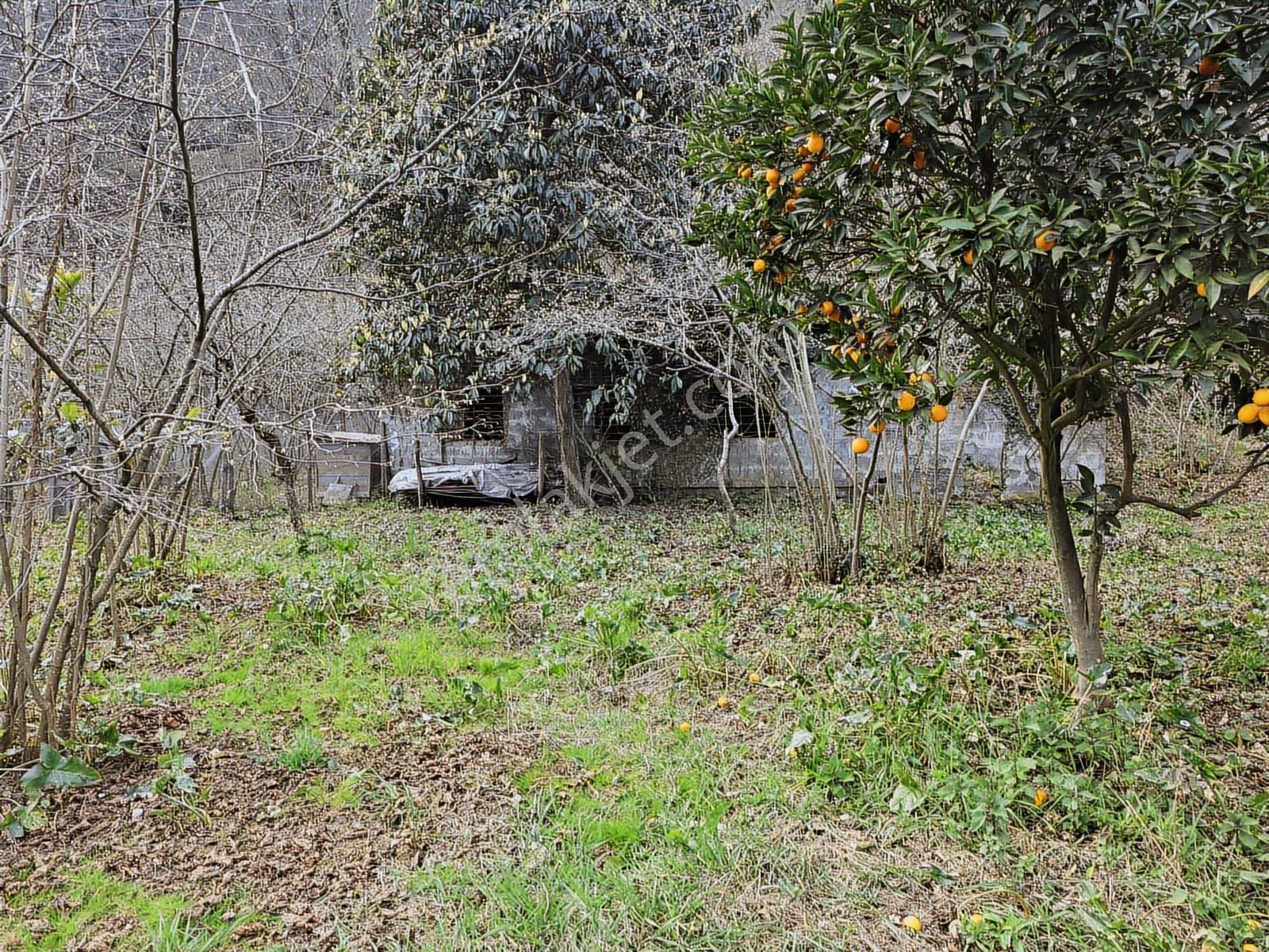 Trabzon Vakfıkebir De Satılık İmarlı Arsa - Görsel 8