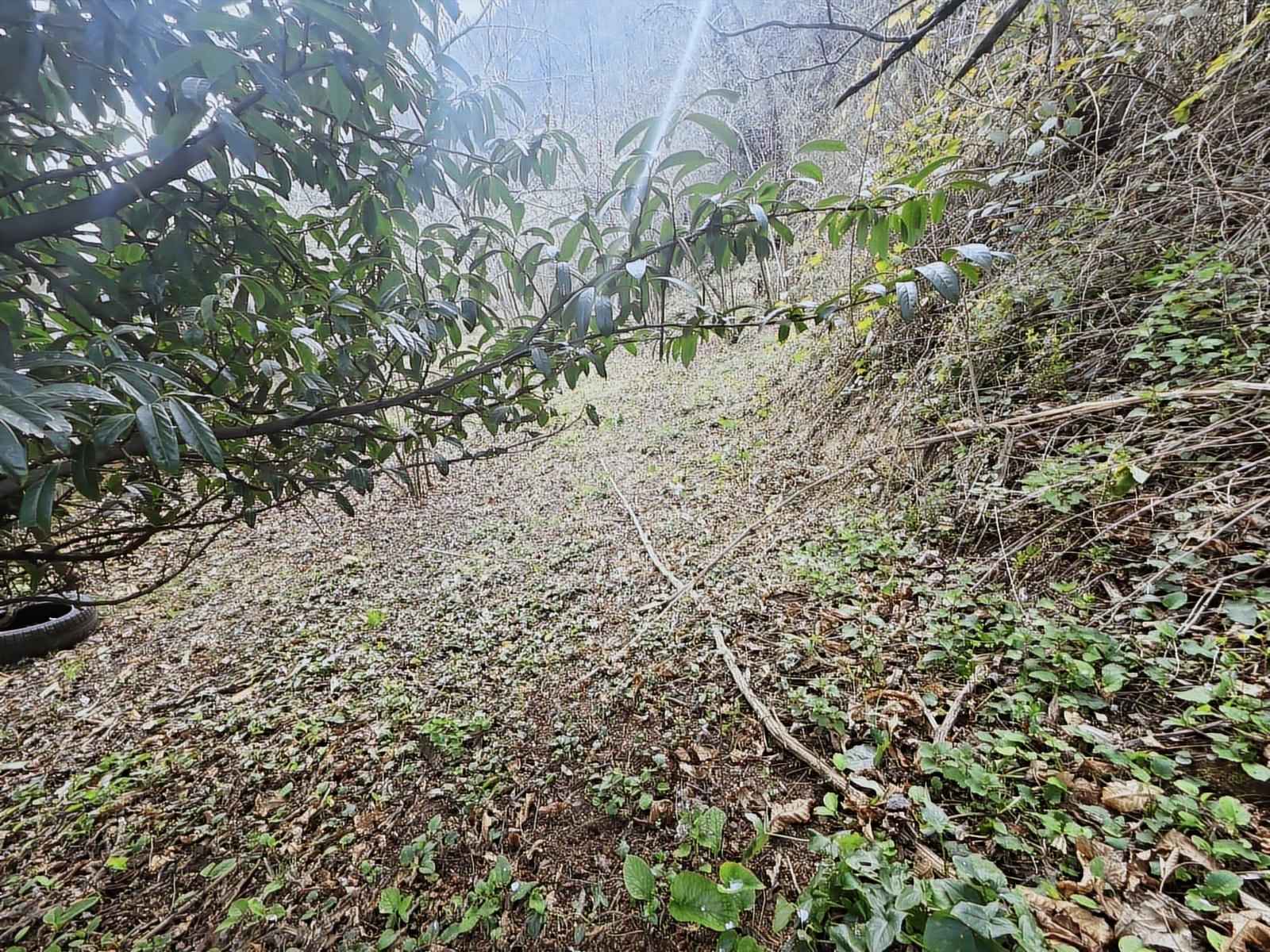 Trabzon Vakfıkebir De Satılık İmarlı Arsa - Görsel 5