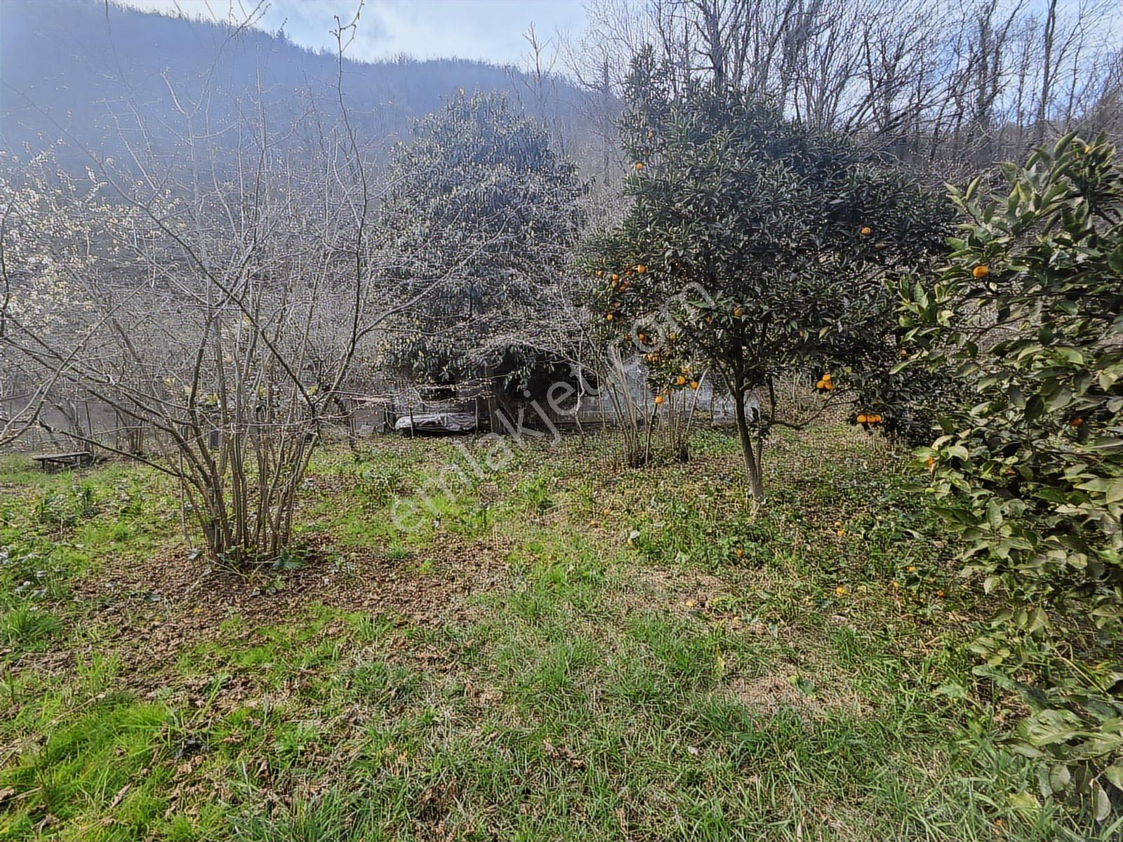 Trabzon Vakfıkebir De Satılık İmarlı Arsa - Görsel 10
