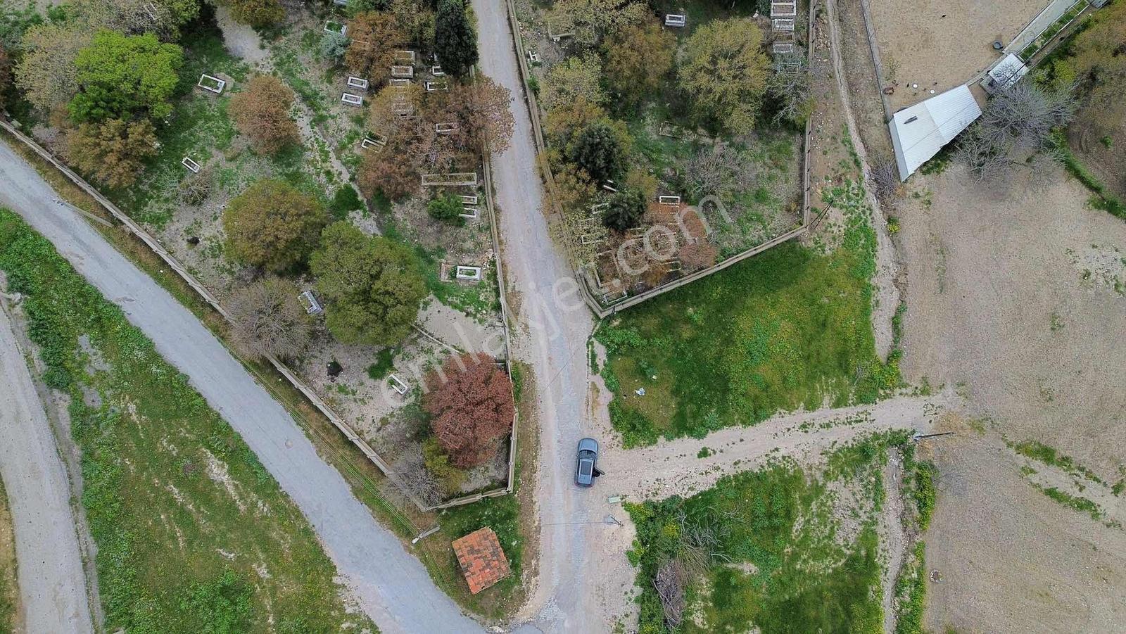 Foça Ilıpınar'da Satılık Müstakil Tapulu Tarla - Görsel 15