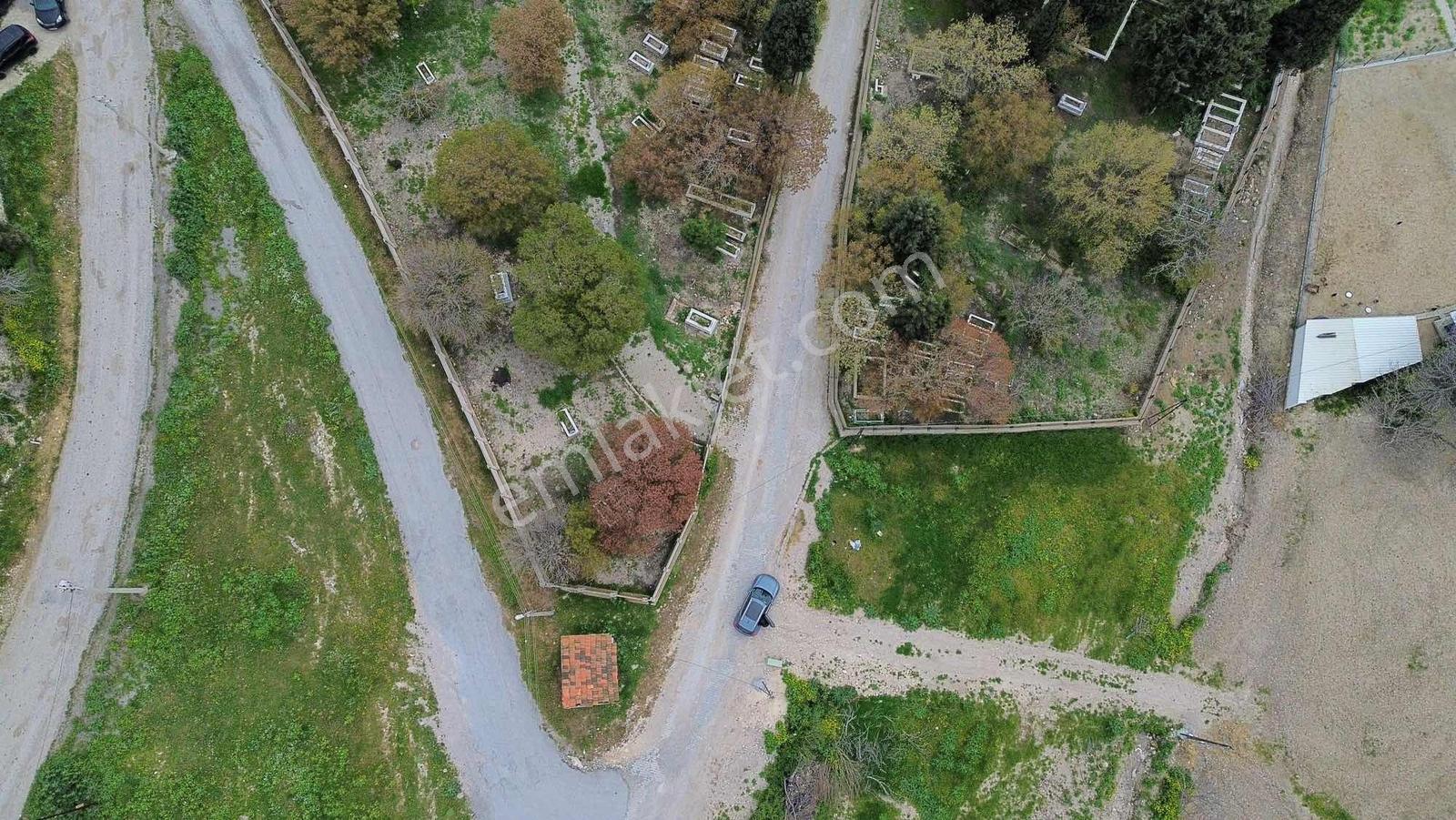 Foça Ilıpınar'da Satılık Müstakil Tapulu Tarla - Görsel 28