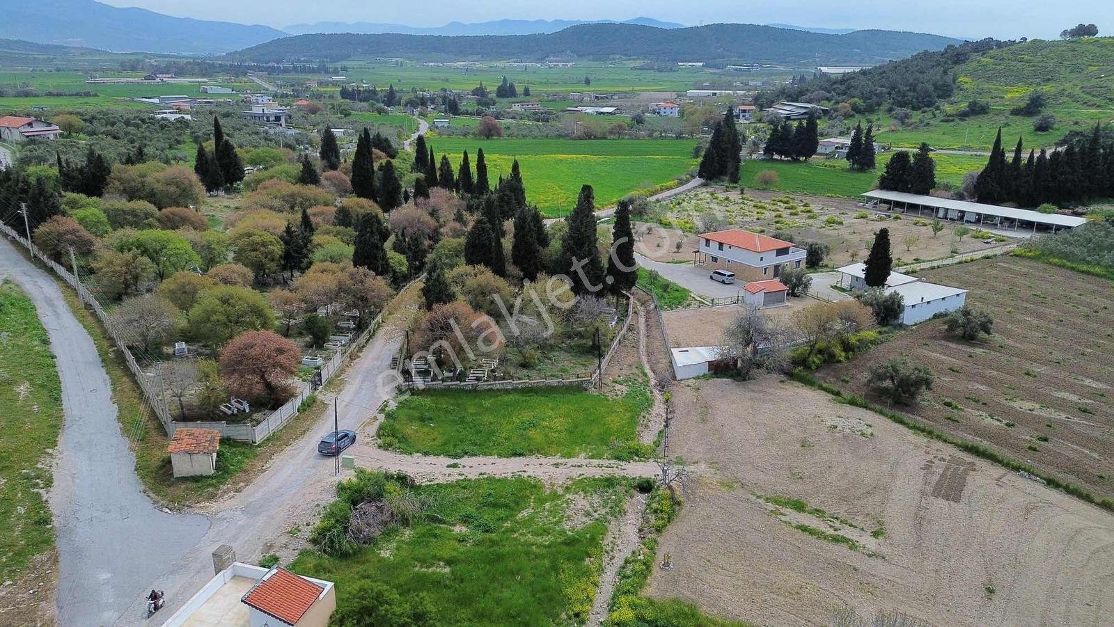 Foça Ilıpınar'da Satılık Müstakil Tapulu Tarla - Görsel 4