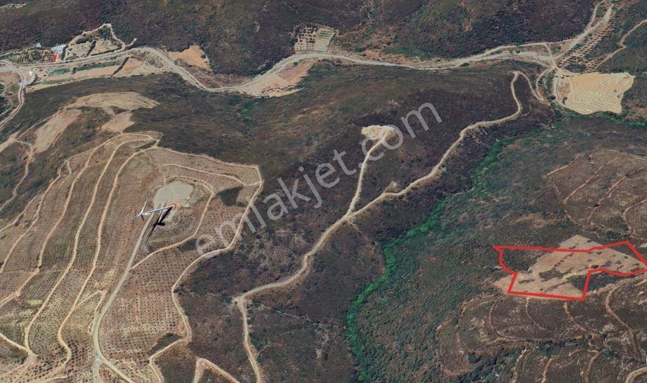 Karaburun Hasseki Sarpıncık Arası (en Ucuz Birim M2) Yatırımlık - Görsel 8