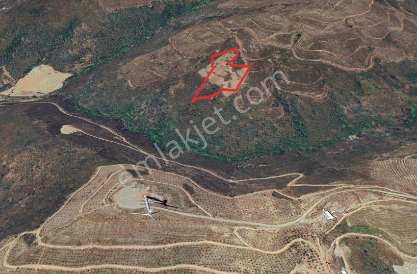Karaburun Hasseki Sarpıncık Arası (en Ucuz Birim M2) Yatırımlık - Görsel 7