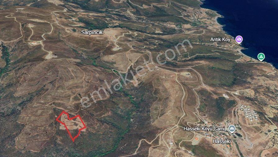 Karaburun Hasseki Sarpıncık Arası (en Ucuz Birim M2) Yatırımlık - Görsel 6
