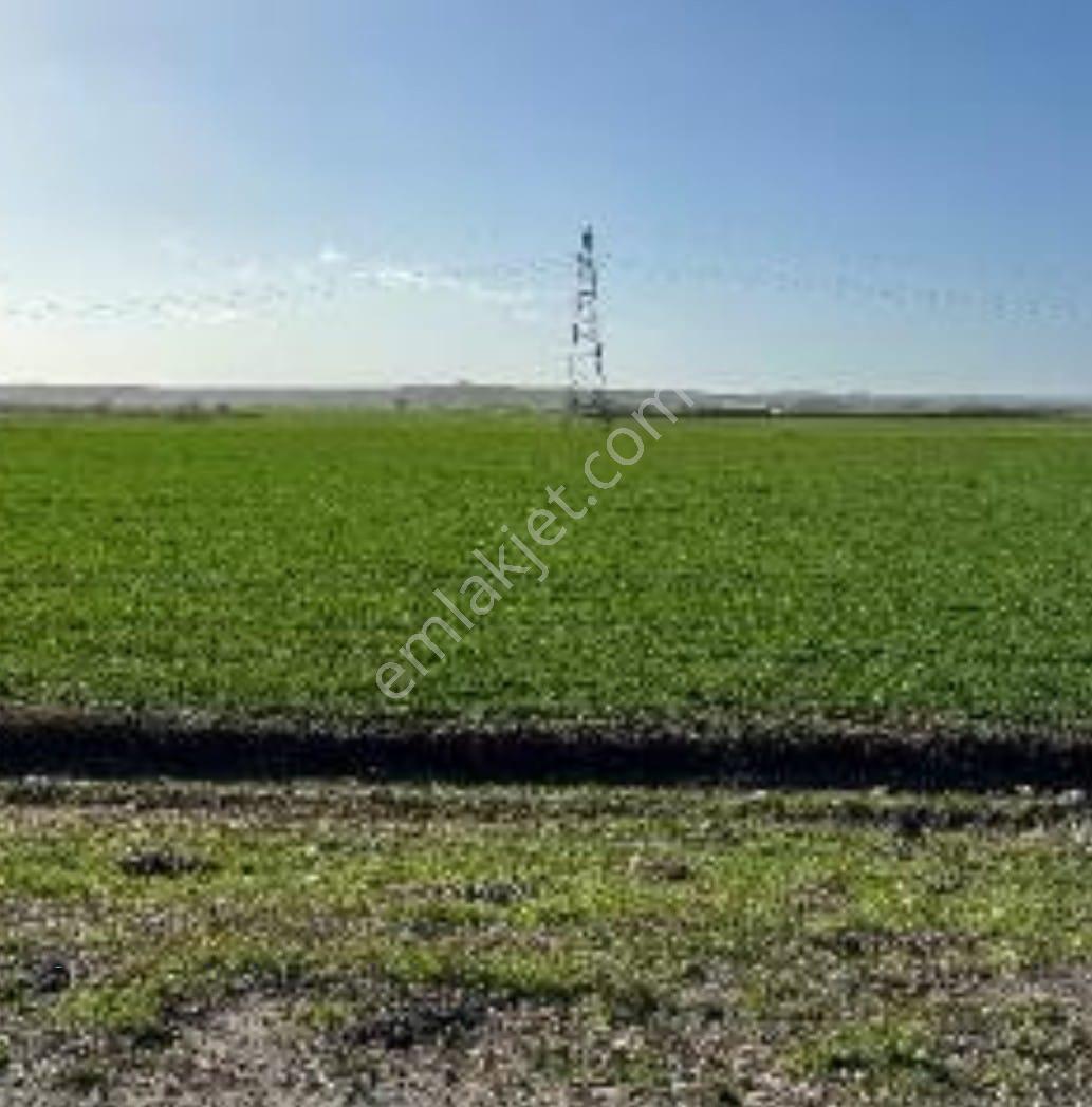 Kırklareli Lüleburgaz Büyükkarıştıran'da 14.876m2 Satılık Arazi