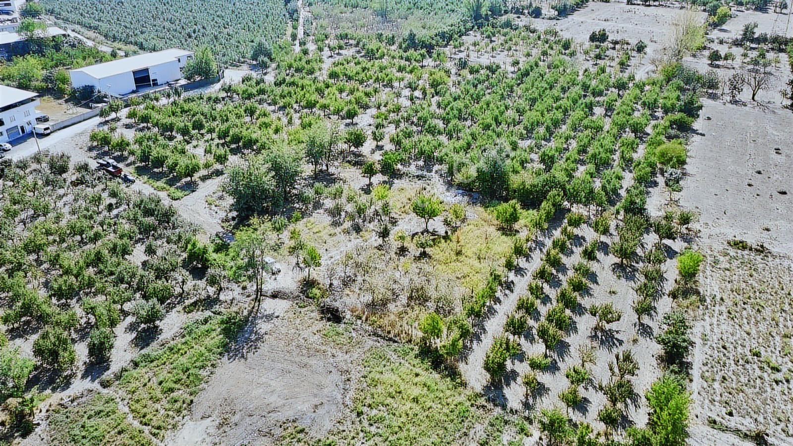 Dialog Altun'dan Vakıf'ta Tek Tapu Fırsat 1430 M2 Arazi !!! - Görsel 17