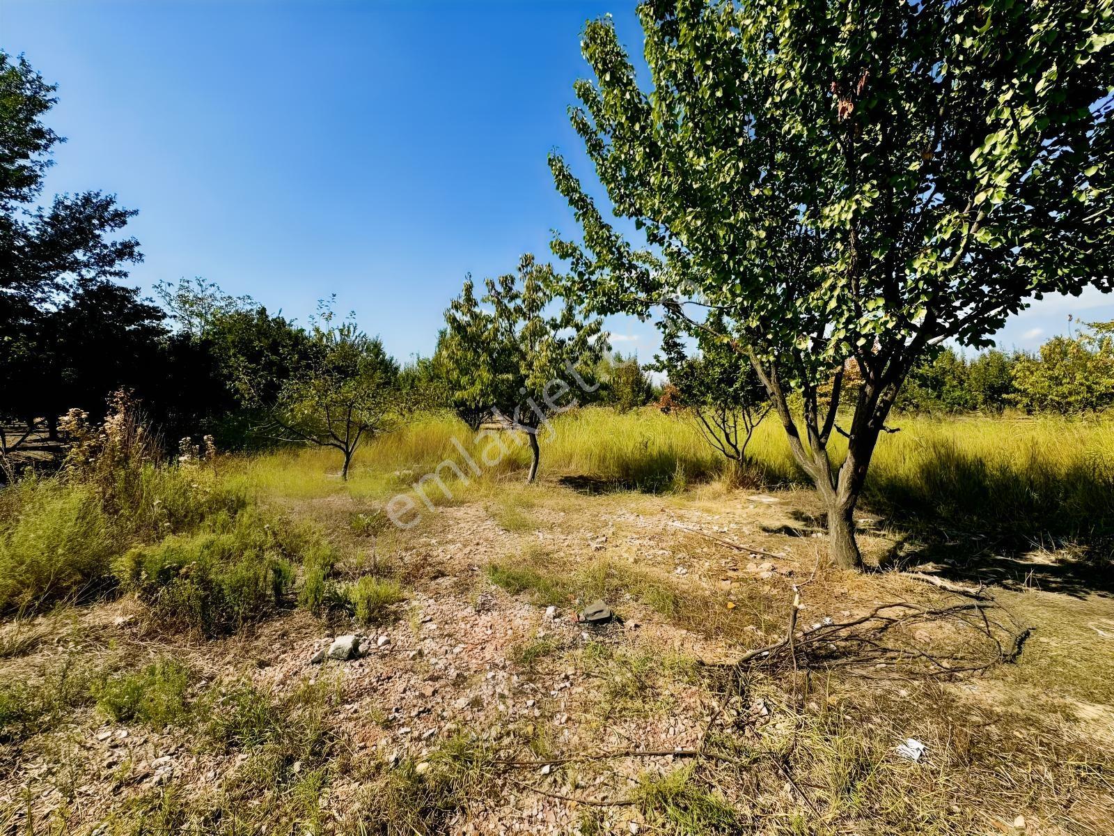 Dialog Altun'dan Vakıf'ta Tek Tapu Fırsat 1430 M2 Arazi !!! - Görsel 6