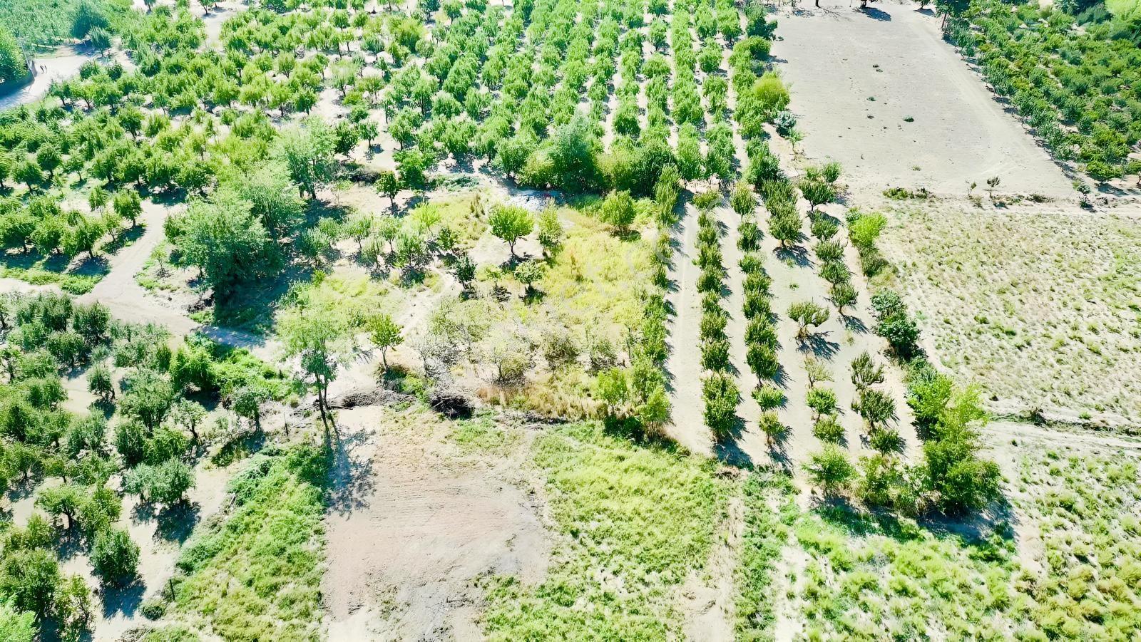 Dialog Altun'dan Vakıf'ta Tek Tapu Fırsat 1430 M2 Arazi !!! - Görsel 5