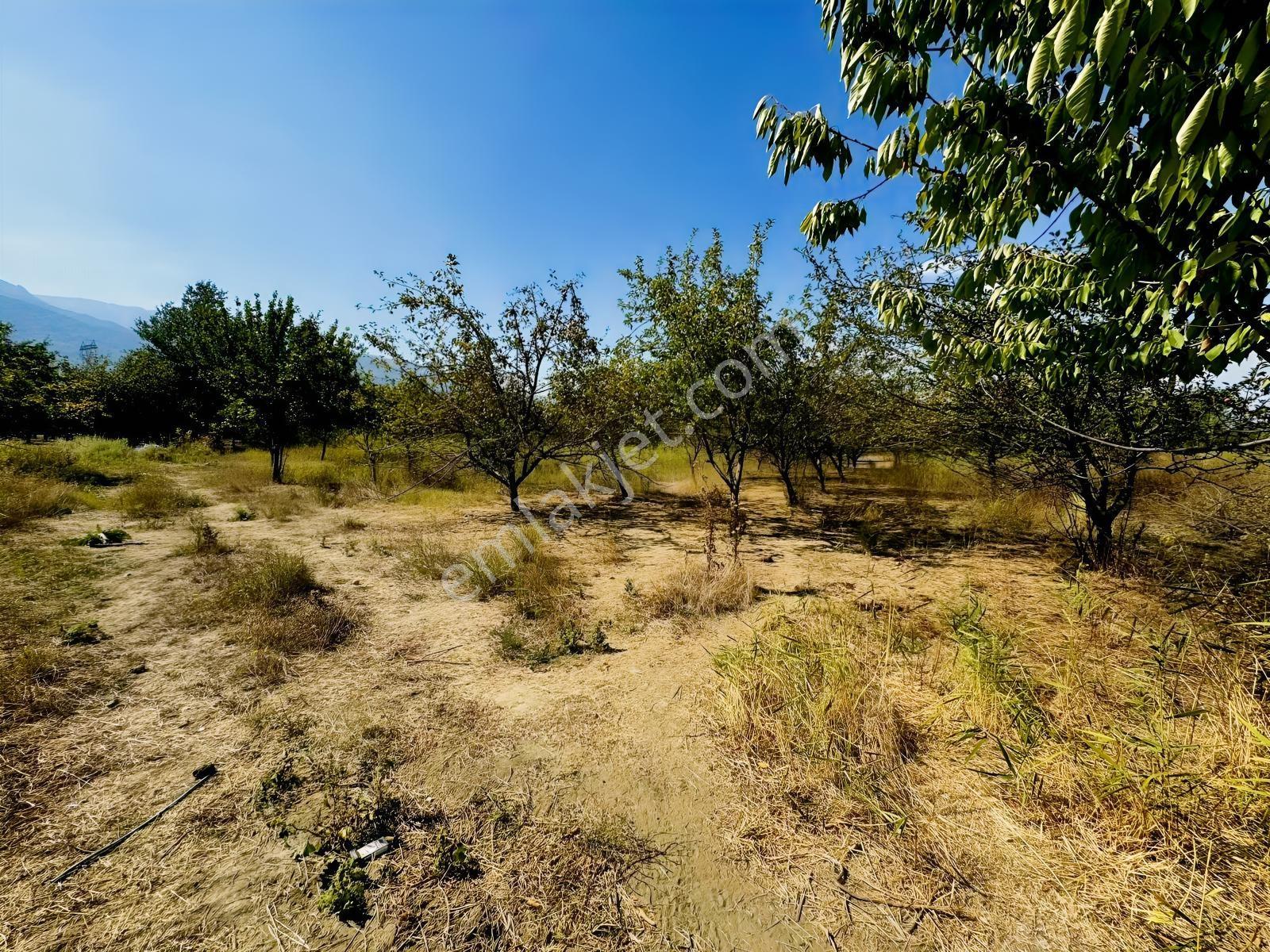 Dialog Altun'dan Vakıf'ta Tek Tapu Fırsat 1430 M2 Arazi !!! - Görsel 8
