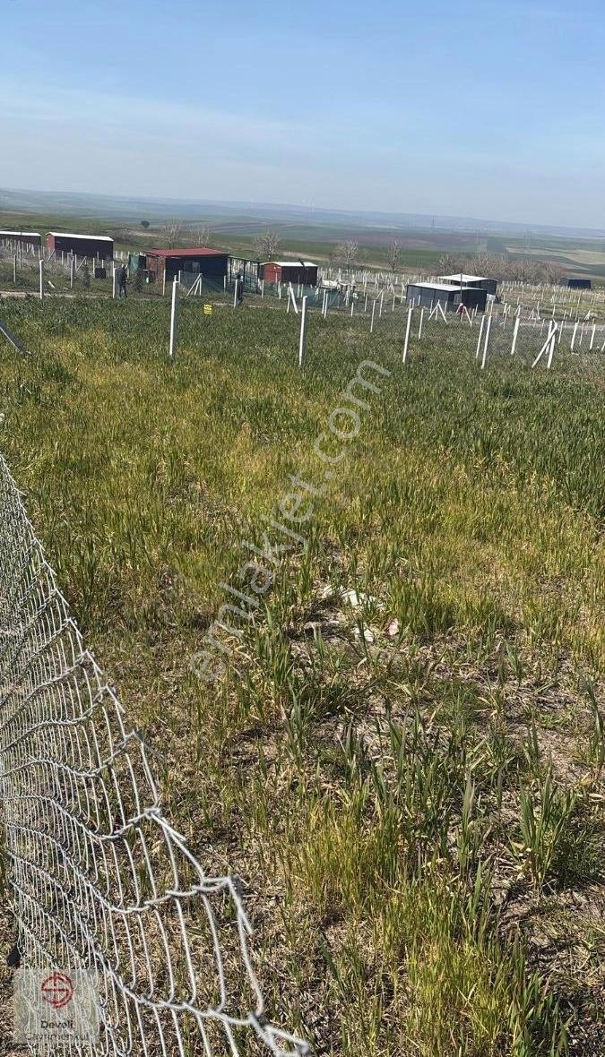 Marmara Ereğlisi Çeşmeli Mahallesi'nde 300 Mk Satılık Yerler - Görsel 2