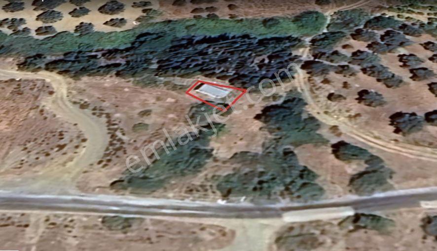 Karaburun, Salman Köyü’nde, İçinde Konteyner Olan, Müstakil Yatırımlık Arsa - Görsel 10