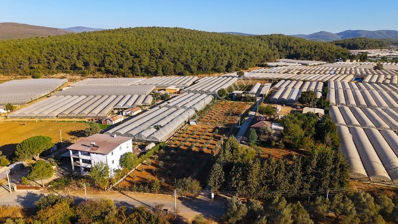 Satılmadan Görün! 10 Dönüm Kurulu Düzen Şahane Çiftlik - Görsel 5