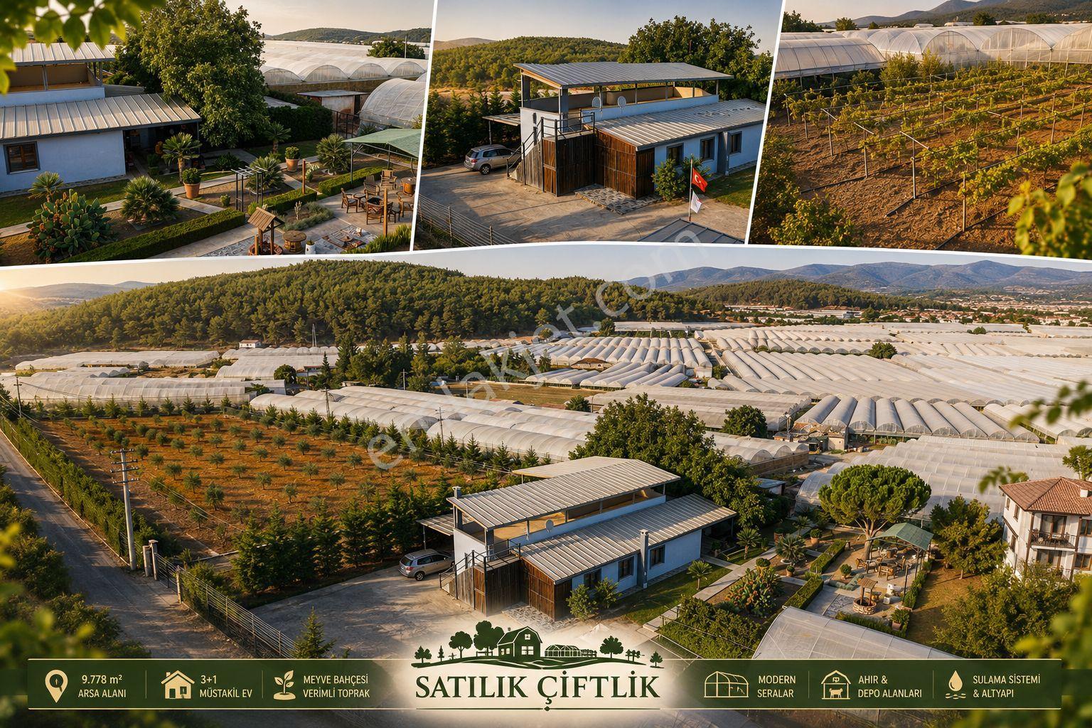 Satılmadan Görün! 10 Dönüm Kurulu Düzen Şahane Çiftlik