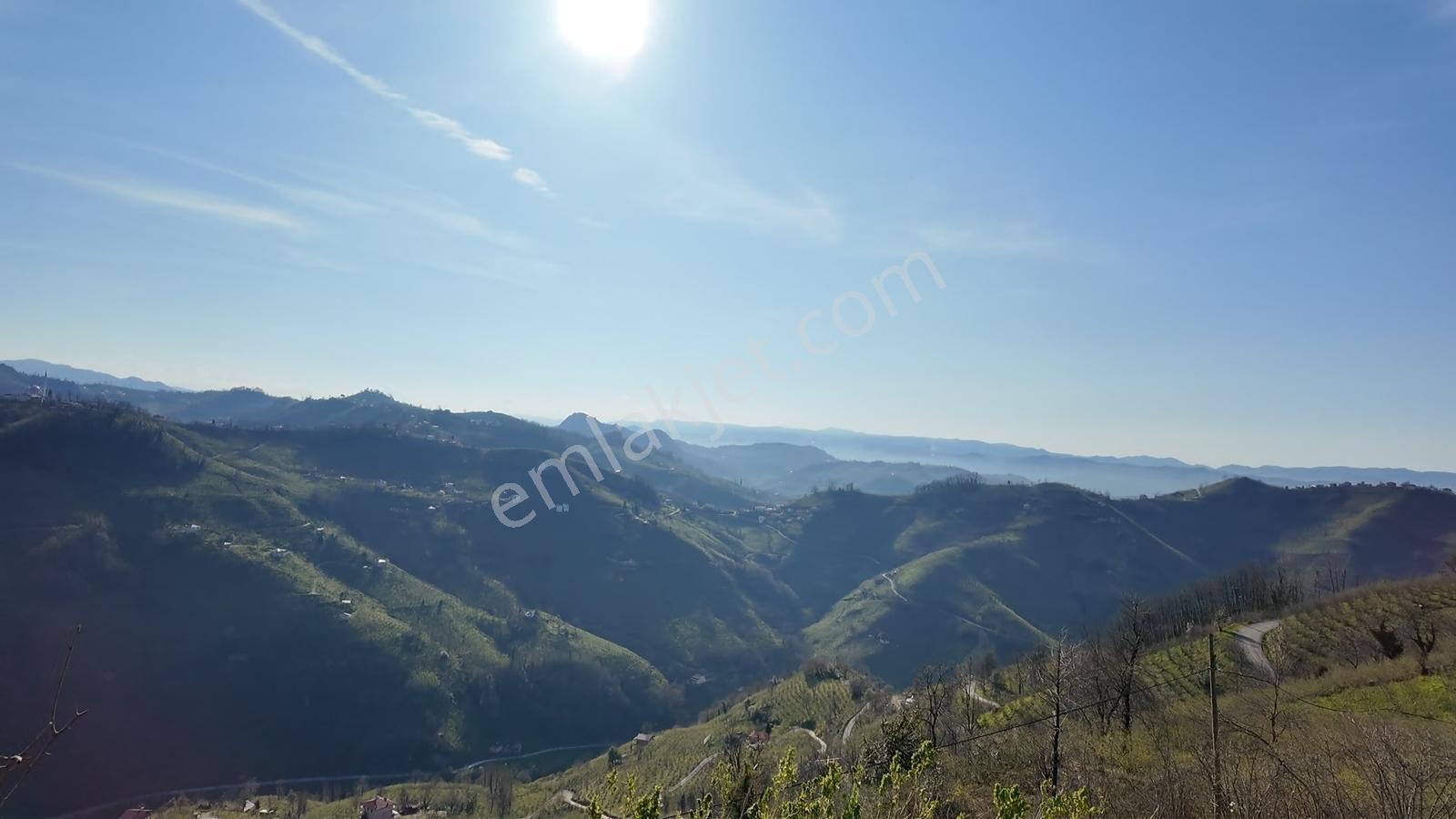 Lüks Villa, Eşyalı, 20 Dönüm Arazi İçinde, Deniz+orman Manzaralı - Görsel 17