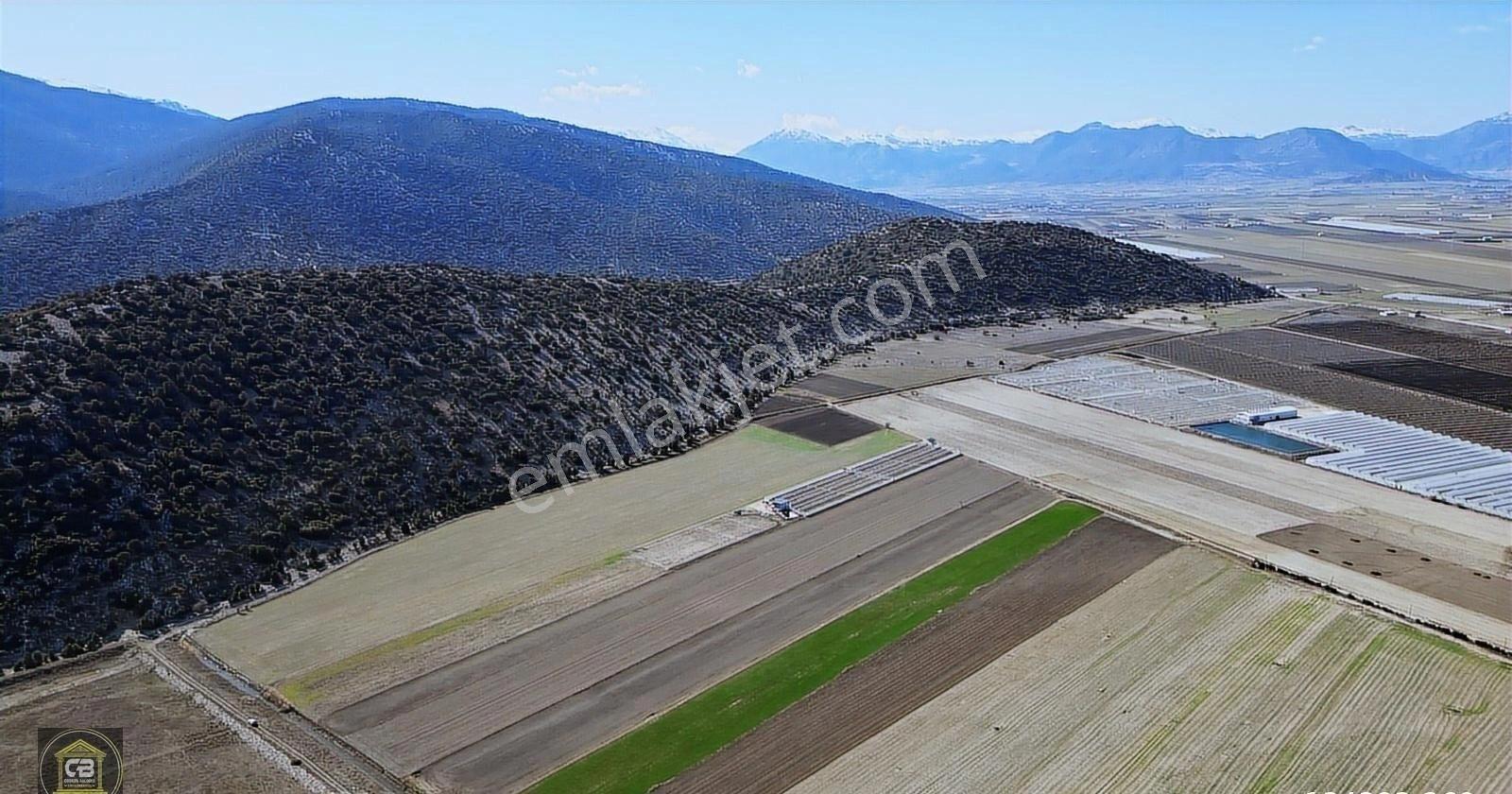 Karamık Mah.avlan Gölüne Yakın 14.665m² Tarla Acil Satılıktır - Görsel 2