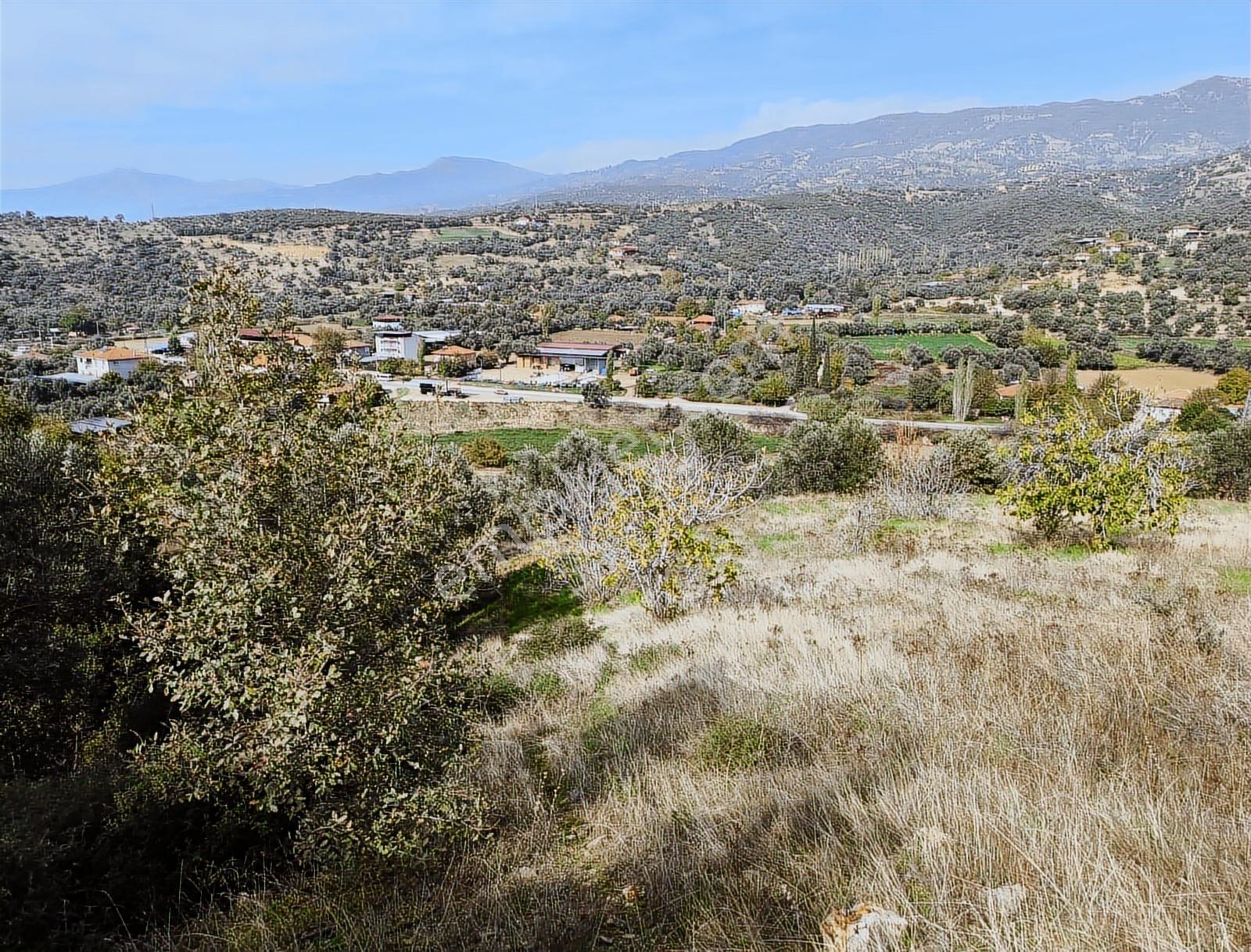 İzmir Kiraz Çayağzı'nda Anayola Yakın 12.566 M2 Satılık Tarla - Görsel 2