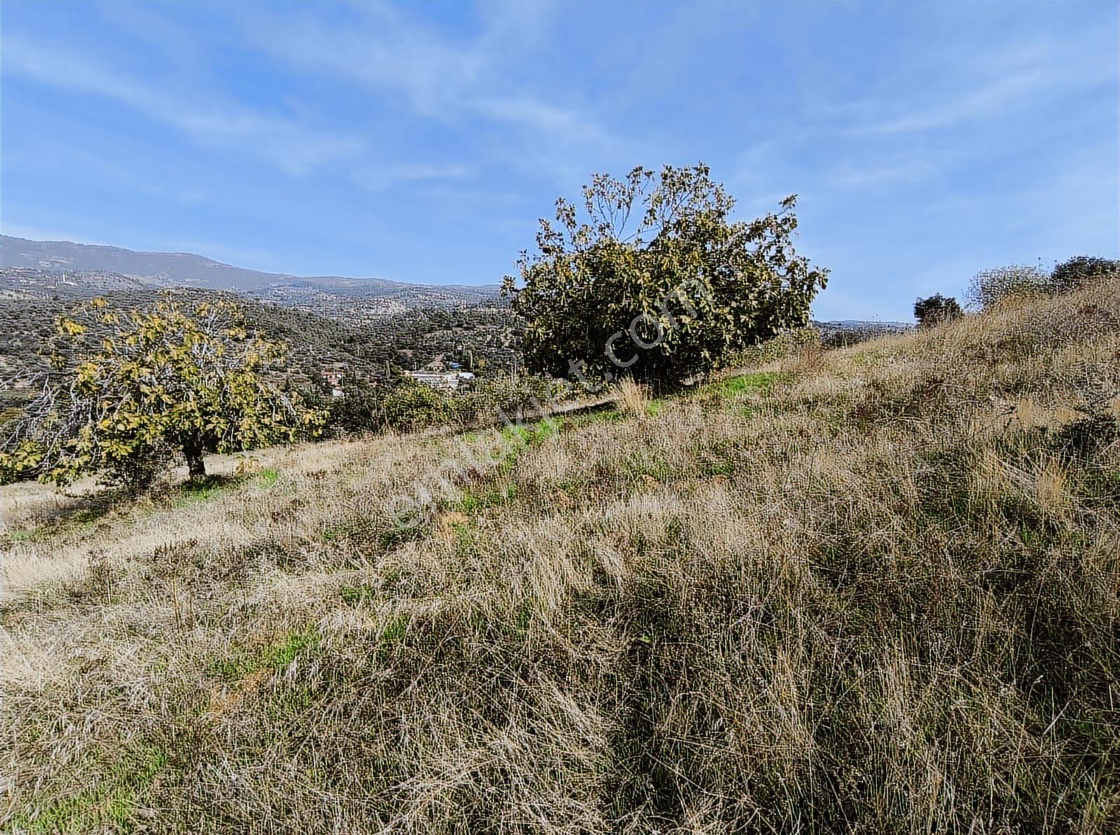 İzmir Kiraz Çayağzı'nda Anayola Yakın 12.566 M2 Satılık Tarla - Görsel 20
