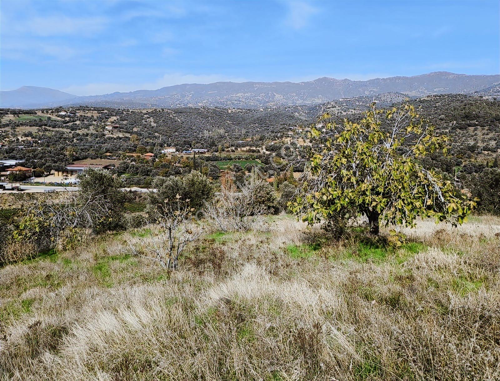 İzmir Kiraz Çayağzı'nda Anayola Yakın 12.566 M2 Satılık Tarla - Görsel 28