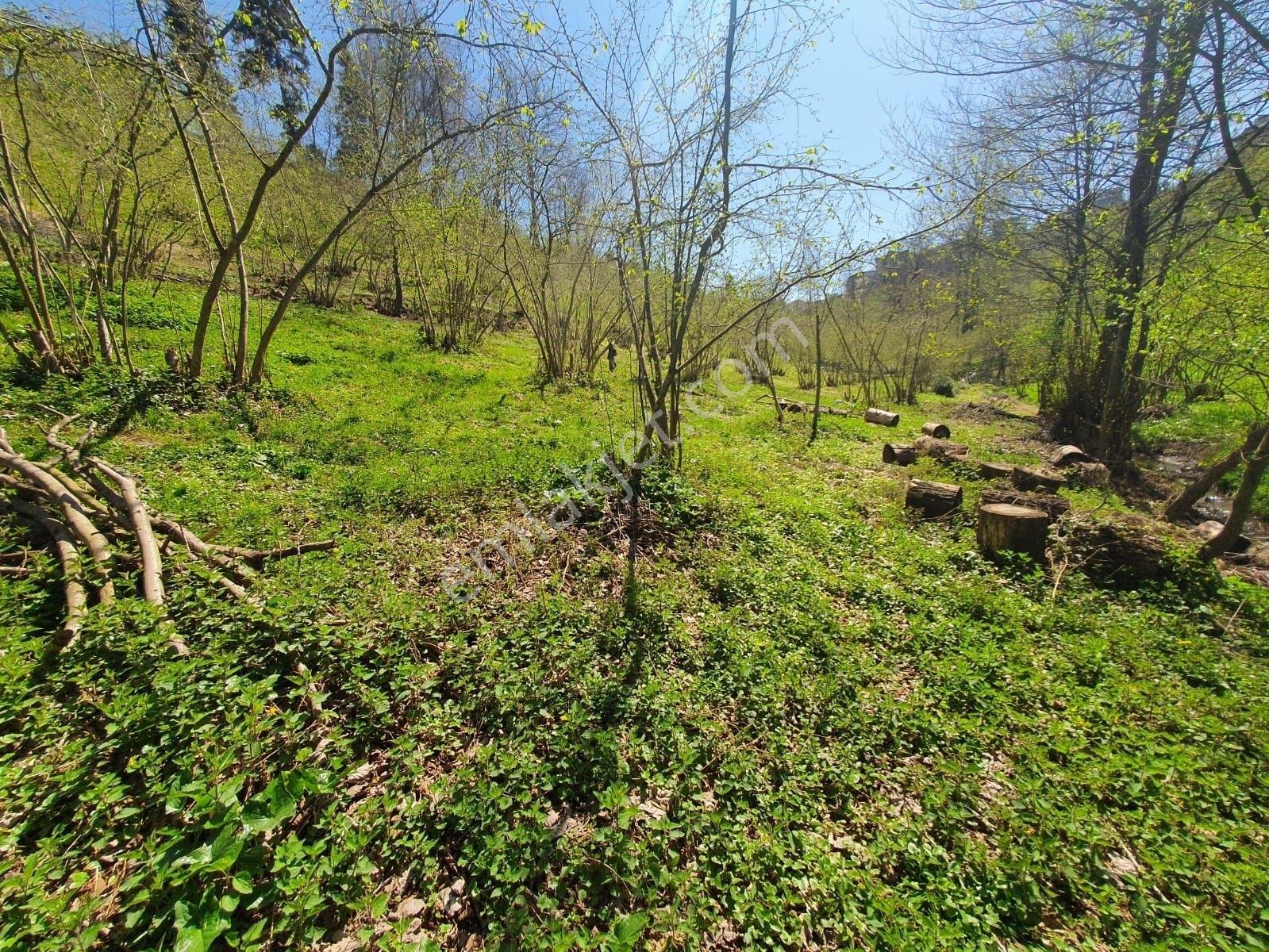 Ermax'dan Çilekli Köyünde 1075 M2 Harika Arazi(araç Takaslı) - Görsel 8