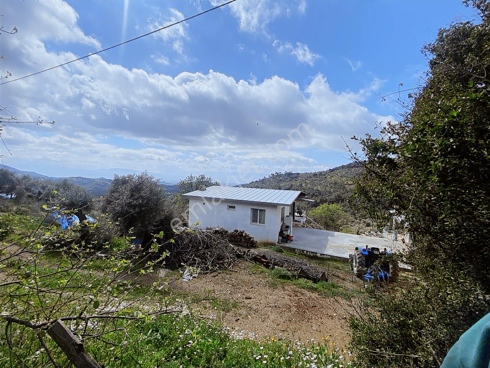 Aydın Efeler Yukarı Balıkköyde Satılık 1.616 M2 Meyve Bayçesi
