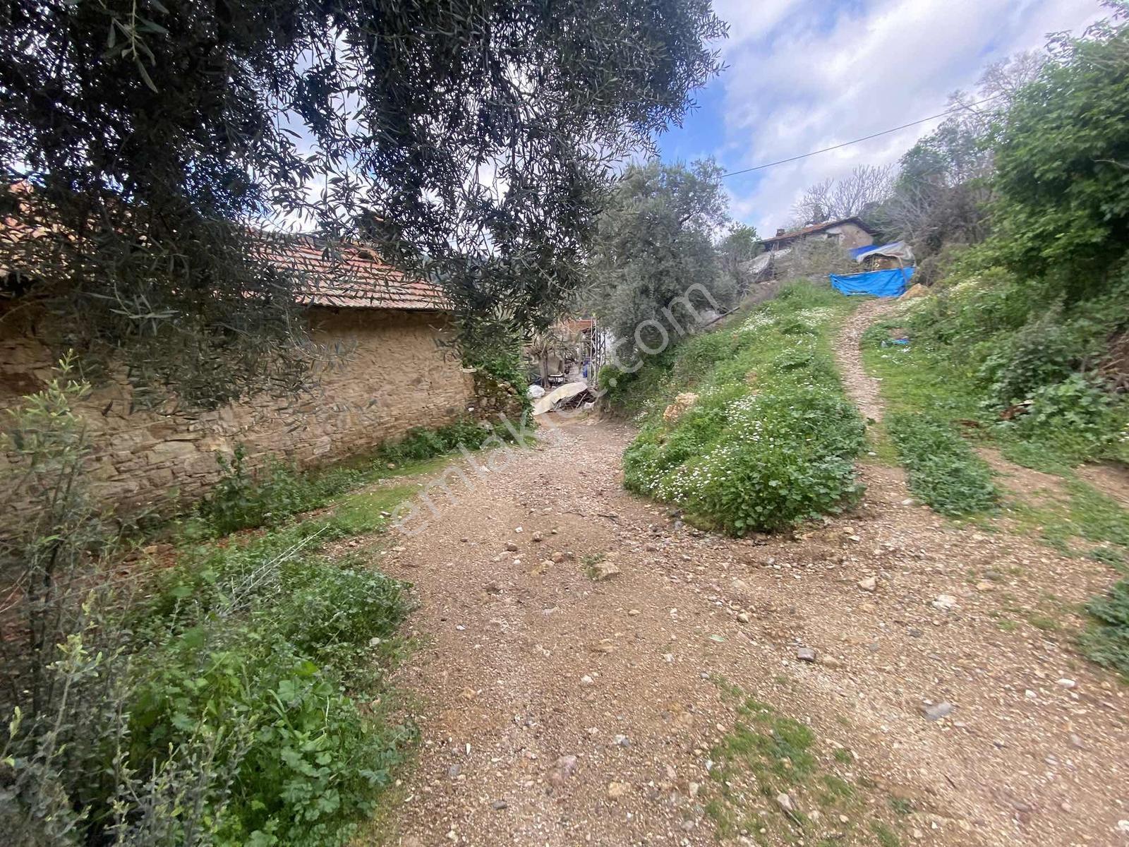 Aydın Efeler Yukarı Balıkköyde Satılık 1.616 M2 Meyve Bayçesi - Görsel 11