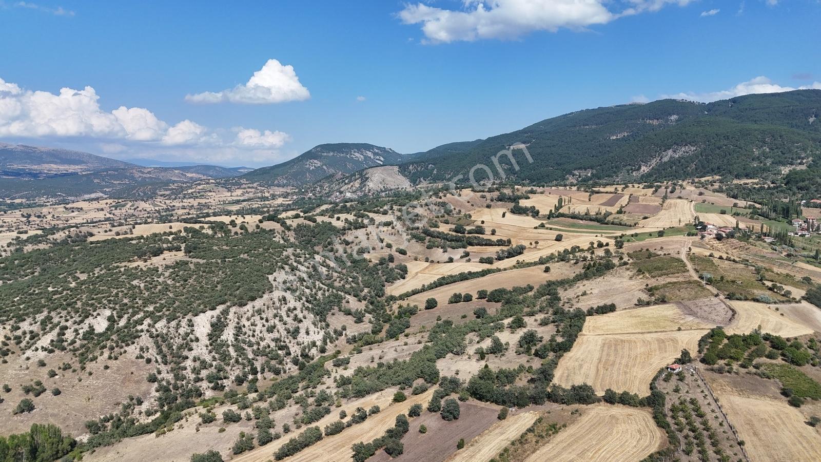 Amasya / Hamamözü / Dede Köy De 1.355 M² Müstakil Tarla - Görsel 2
