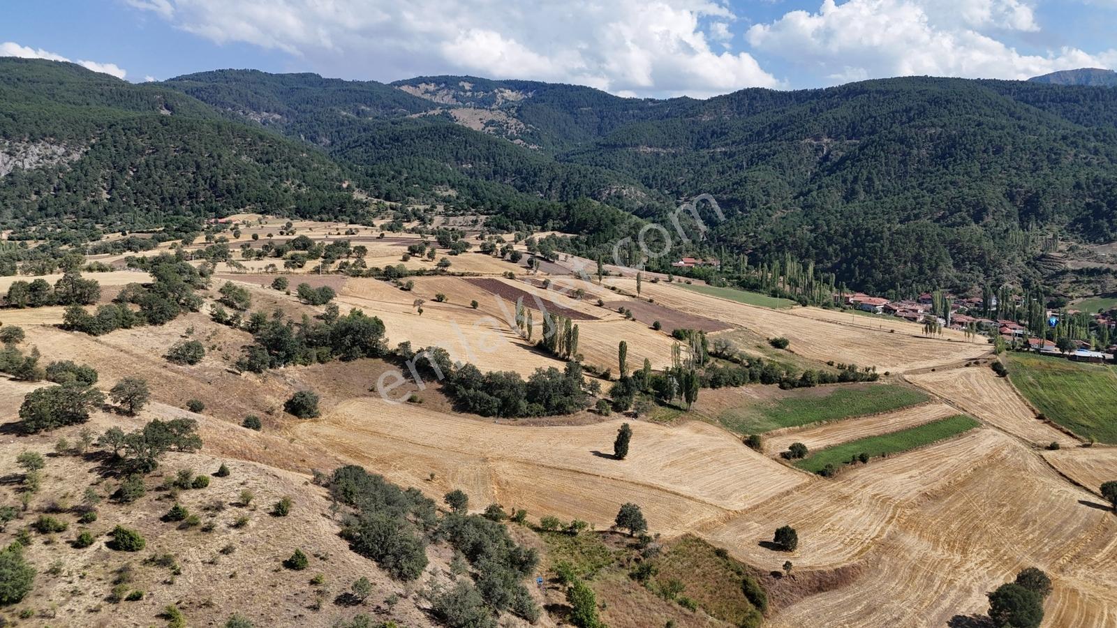 Amasya / Hamamözü / Dede Köy De 1.355 M² Müstakil Tarla - Görsel 6
