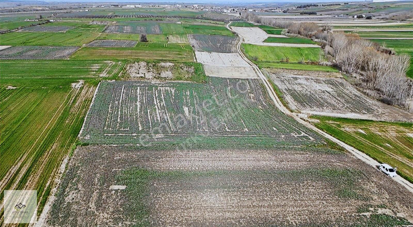Utku Emlak Tan Babaeski Yenimahallede 1805 M2 Satılıktarla - Görsel 12