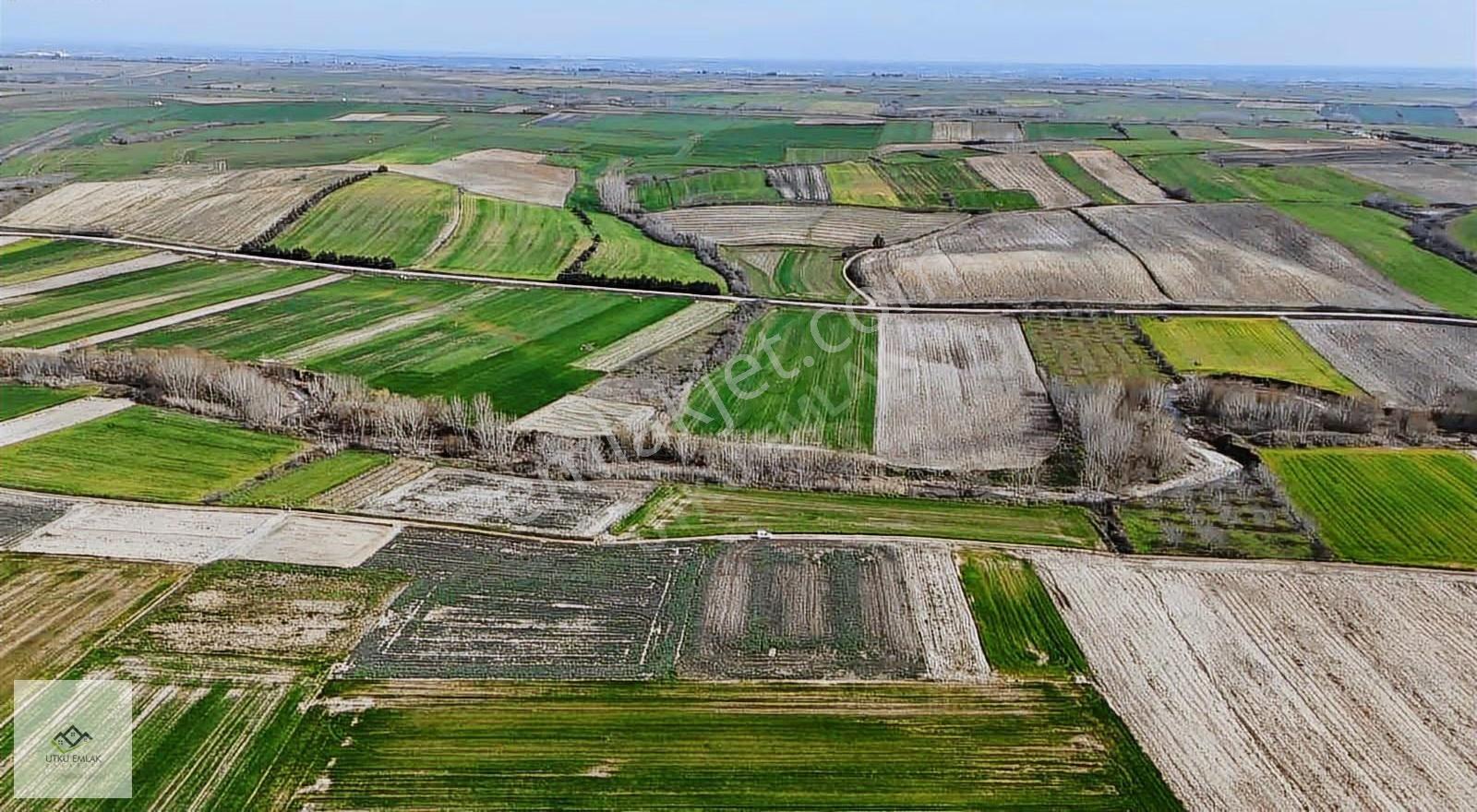 Utku Emlak Tan Babaeski Yenimahallede 1805 M2 Satılıktarla - Görsel 3