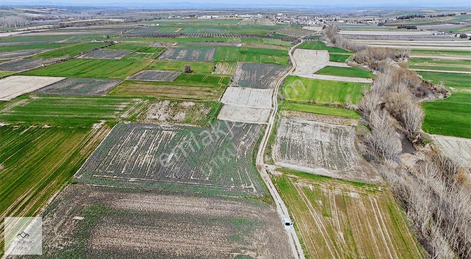 Utku Emlak Tan Babaeski Yenimahallede 1805 M2 Satılıktarla - Görsel 9