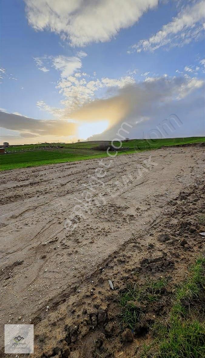 Utku Emlak Tan Babaeski Terzilide 1000 M2 Satılık İmarlı Arsa - Görsel 9