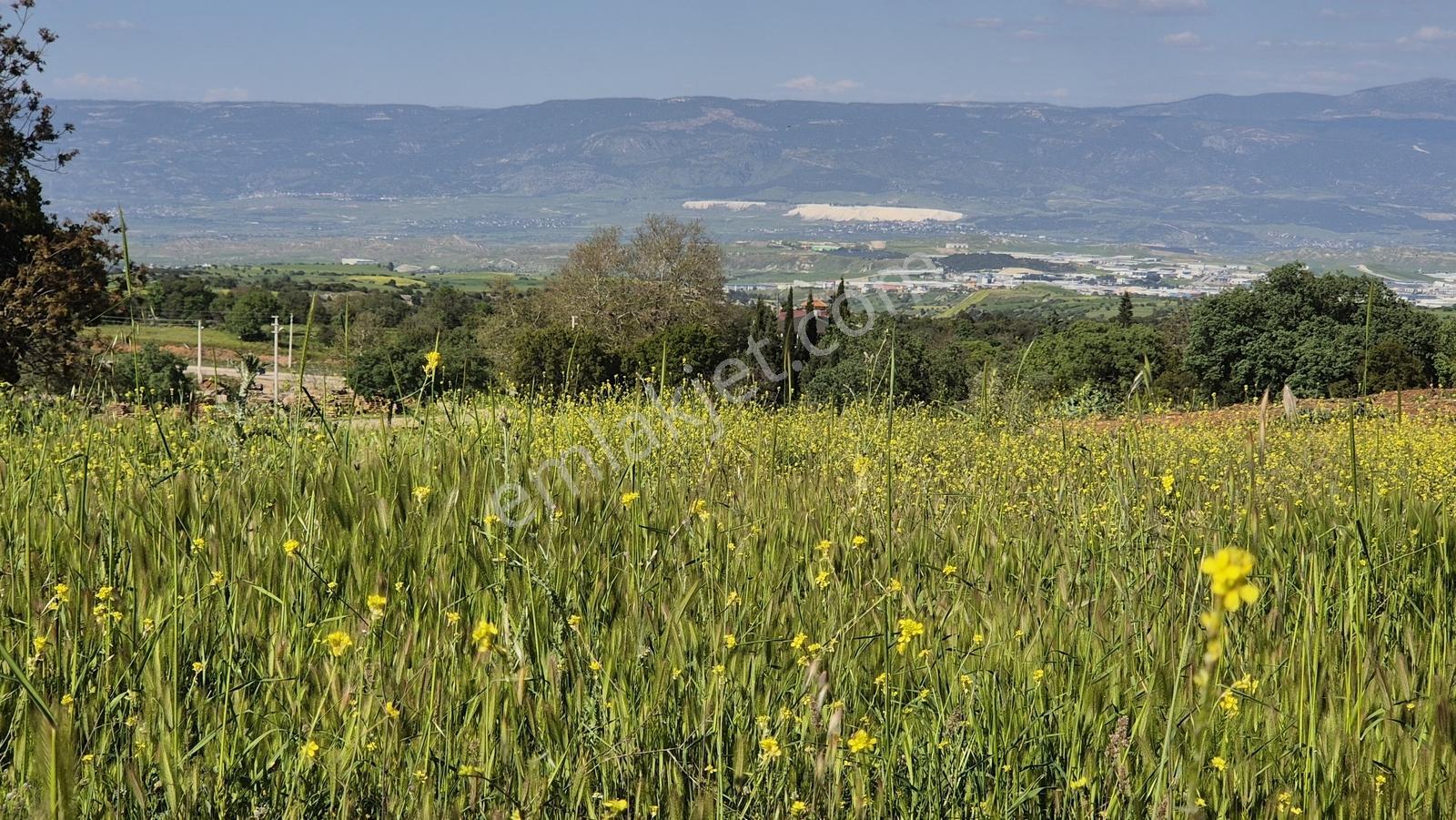 Aybars'tan Satılık 975 M2 Köşe Yeşil Alan Cepheli Arsa - Görsel 20