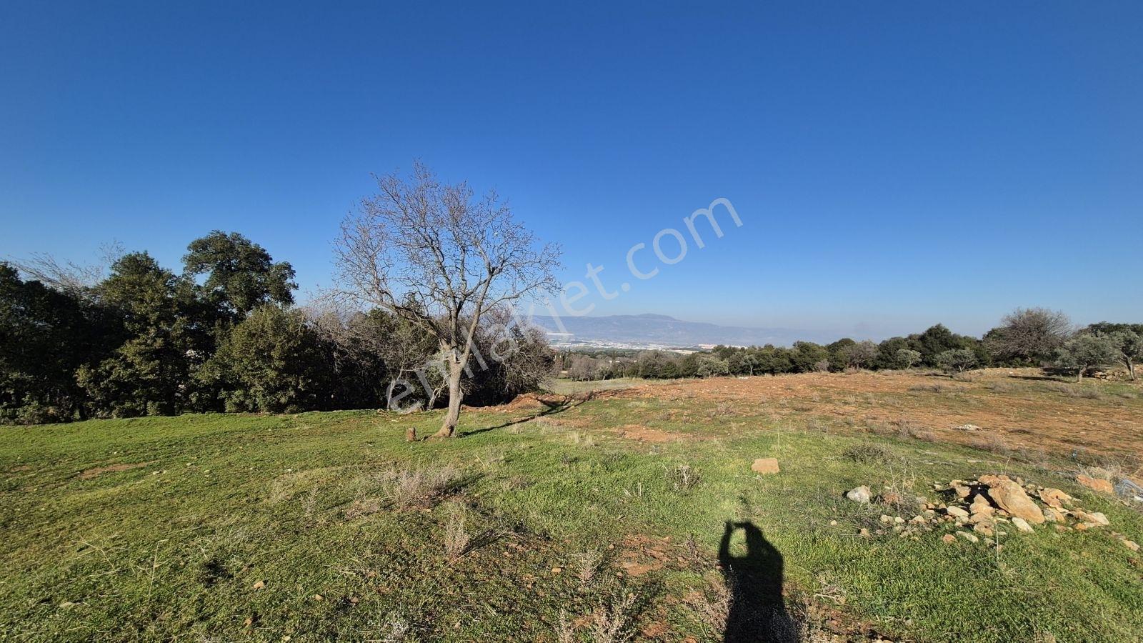 Aybars'tan Satılık 975 M2 Köşe Yeşil Alan Cepheli Arsa - Görsel 21