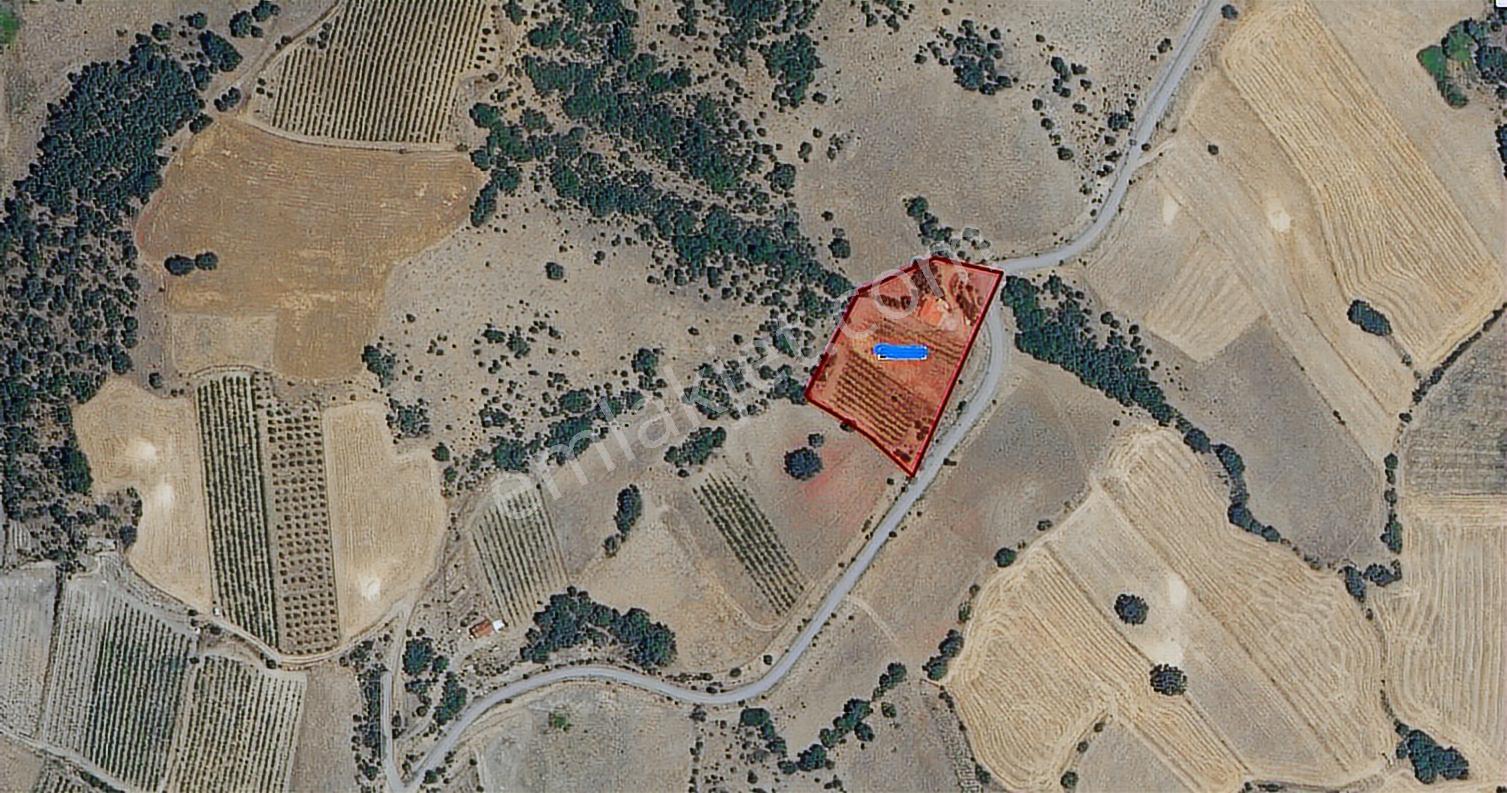 Emirseyit'de 1175 M2 Eğimsiz, Köy Yolu Yanında Satılık Arazi