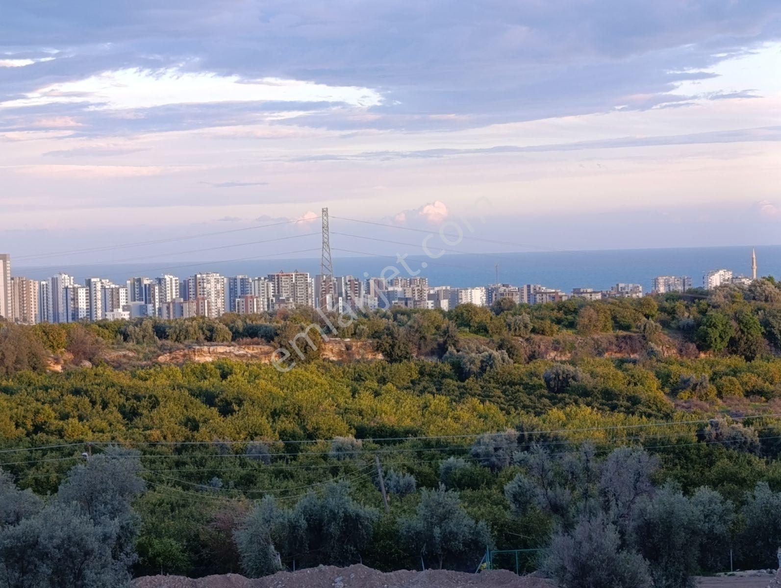 Ars Yapı Gayrimenkulden Mezitli De Satılık 1027 M2 Arsa