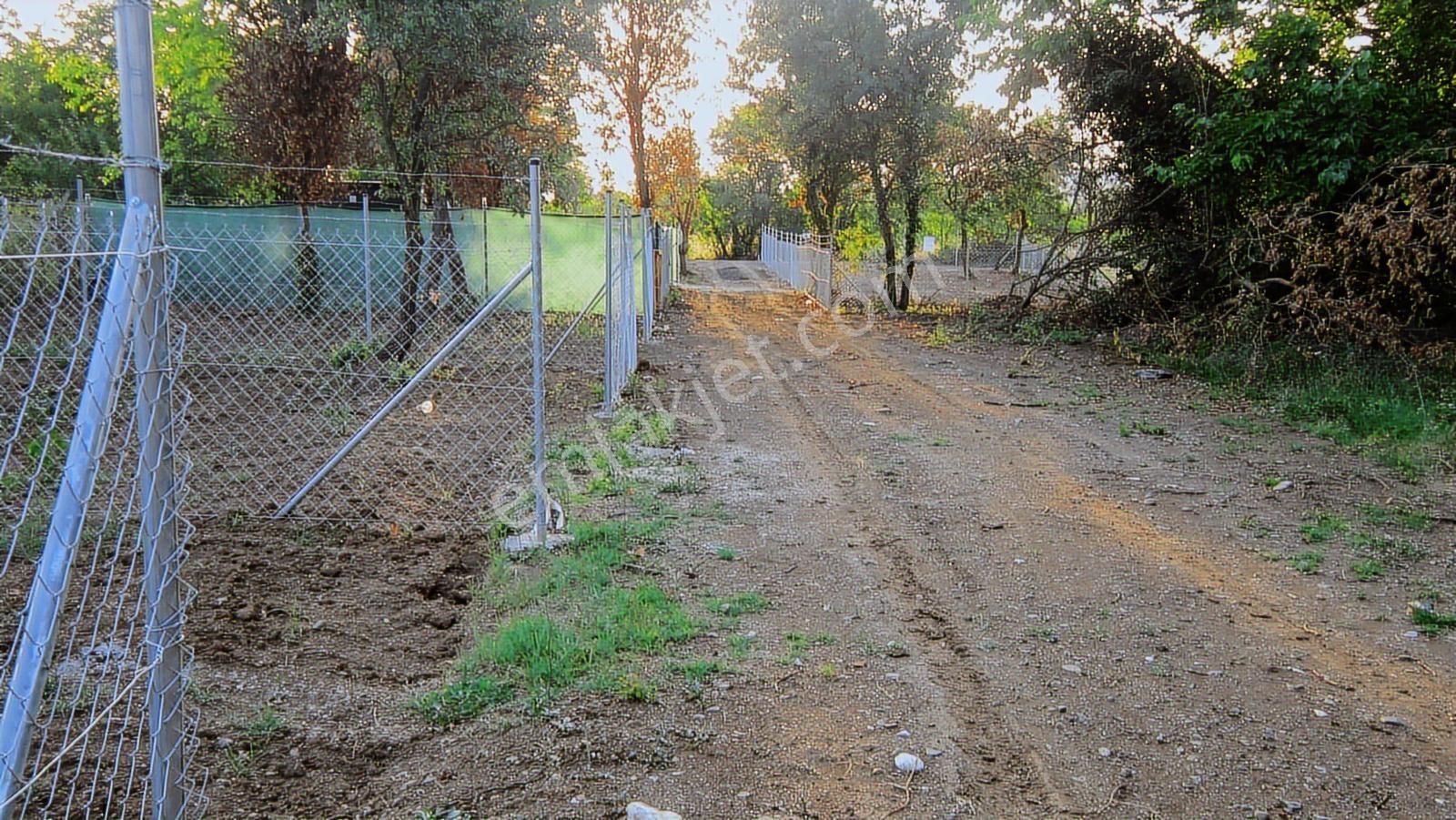 Kayapa Da Kadastro Yoluna Cephe Tel Örgülü 560 M2 Hobi Bahçesi - Görsel 8